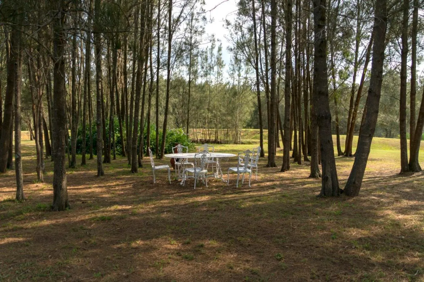 Thistle Hill Guesthouse - walk to many wineries and restaurants