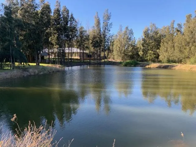 Natural landscape in Thistle Hill Guesthouse - walk to many wineries and restaurants