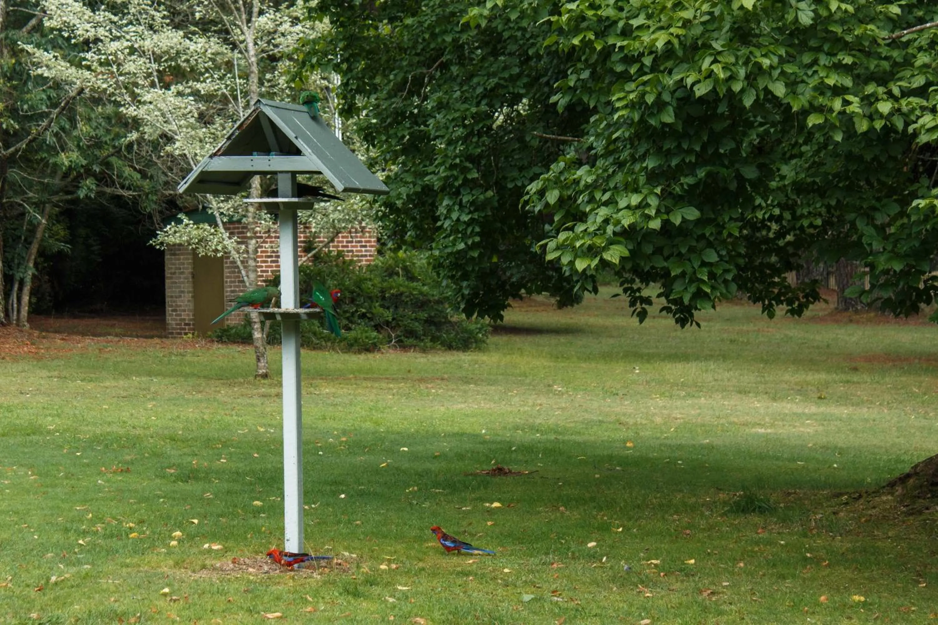 Day in Federation Gardens & Possums Hideaway