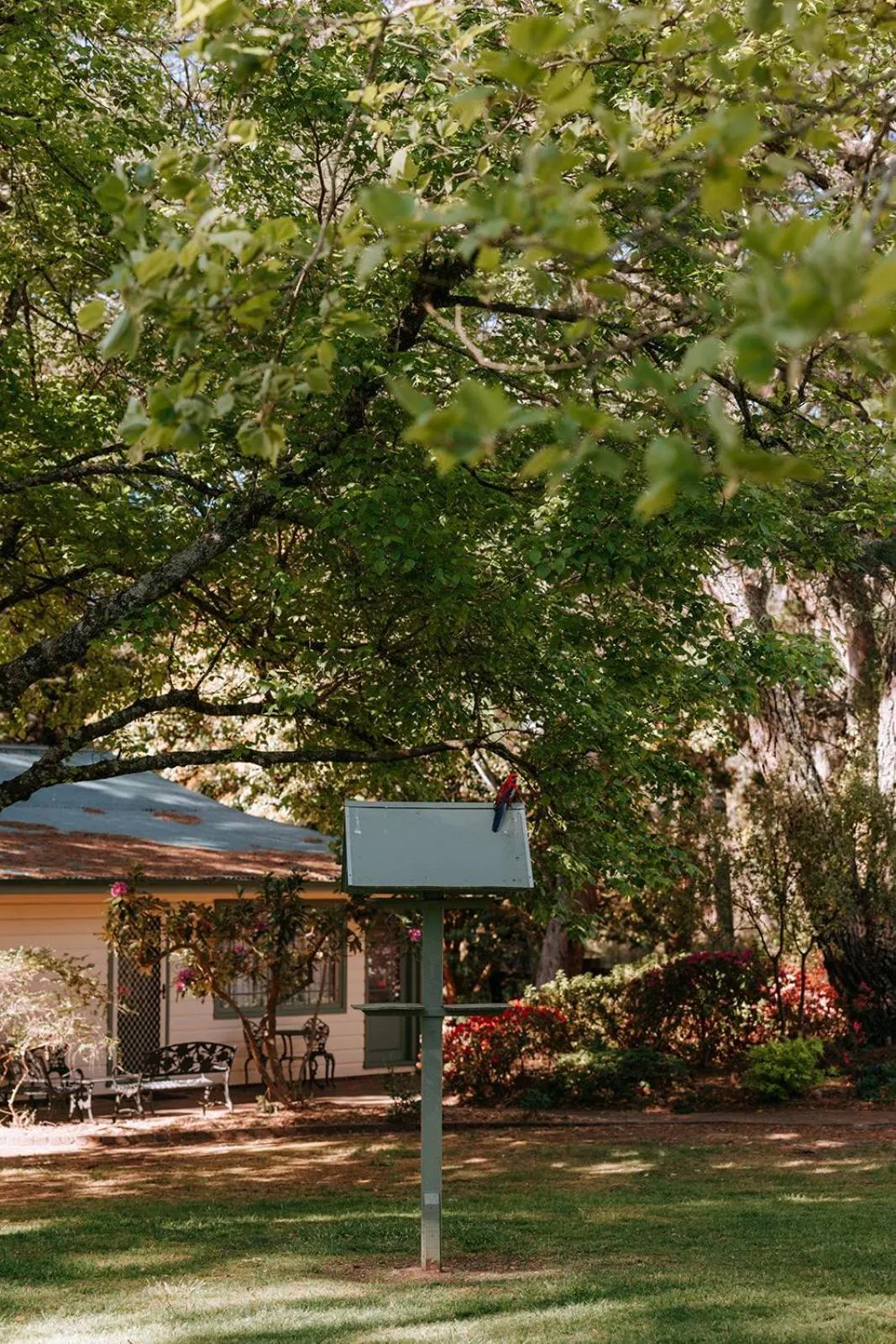 Federation Gardens & Possums Hideaway