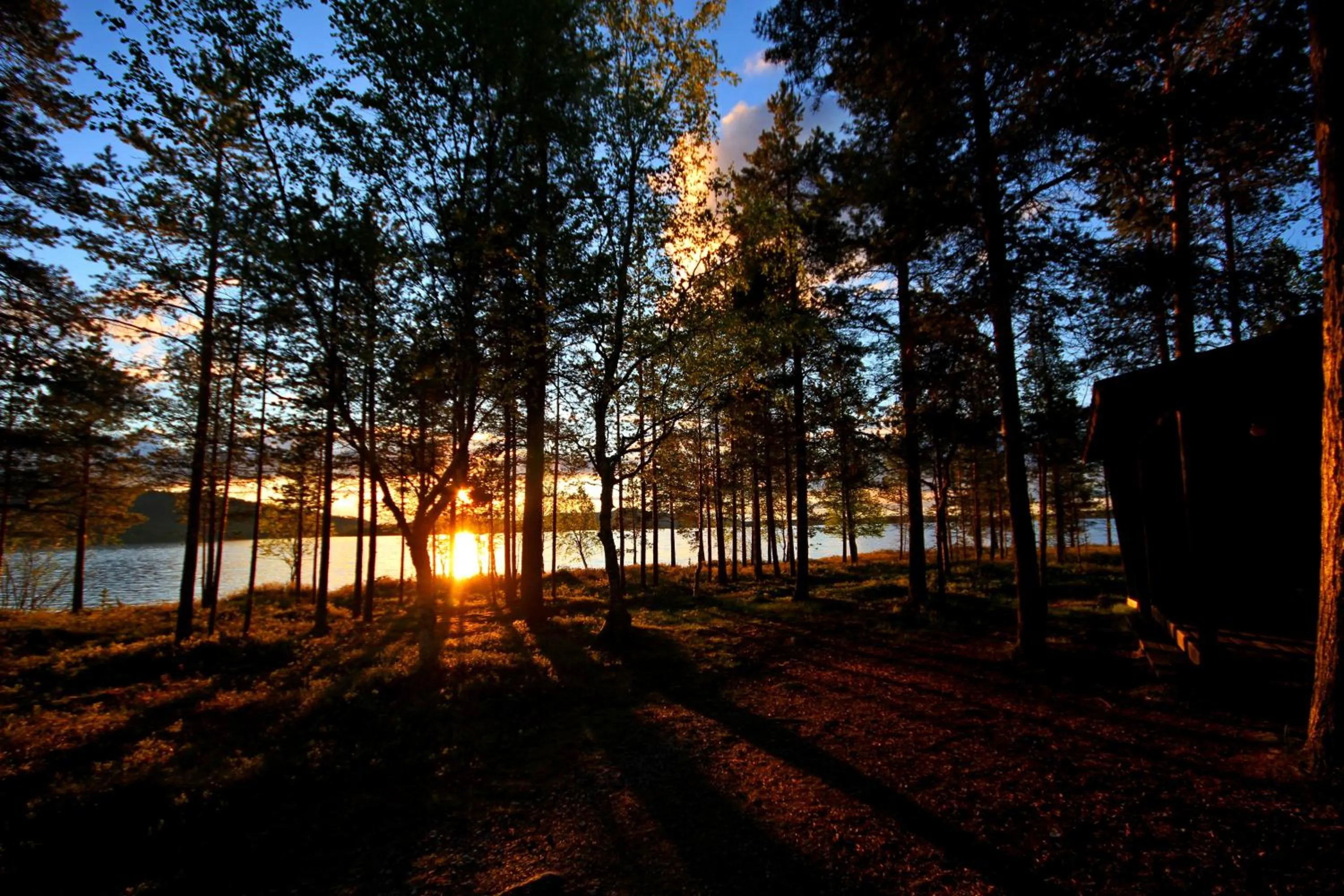 Garden in Ukonjärven Holiday Village