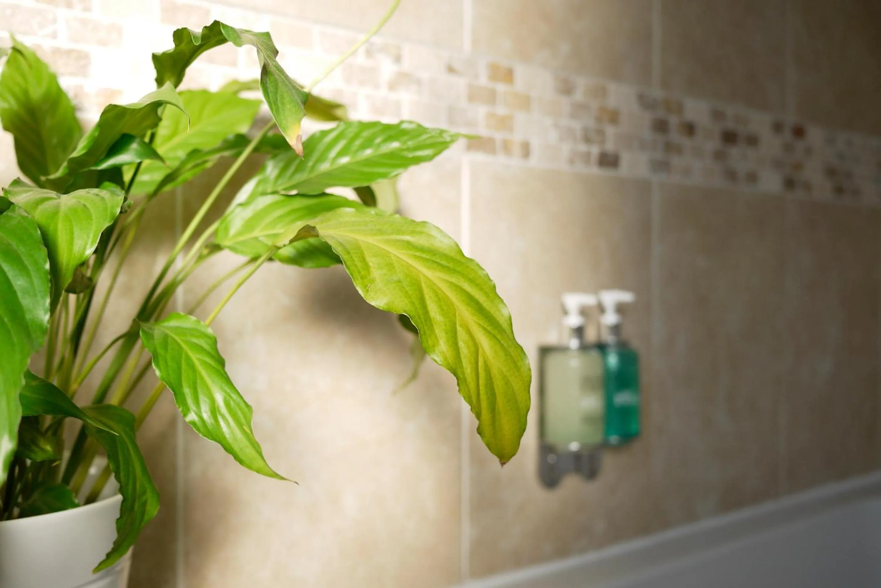 Bathroom in The Claremont