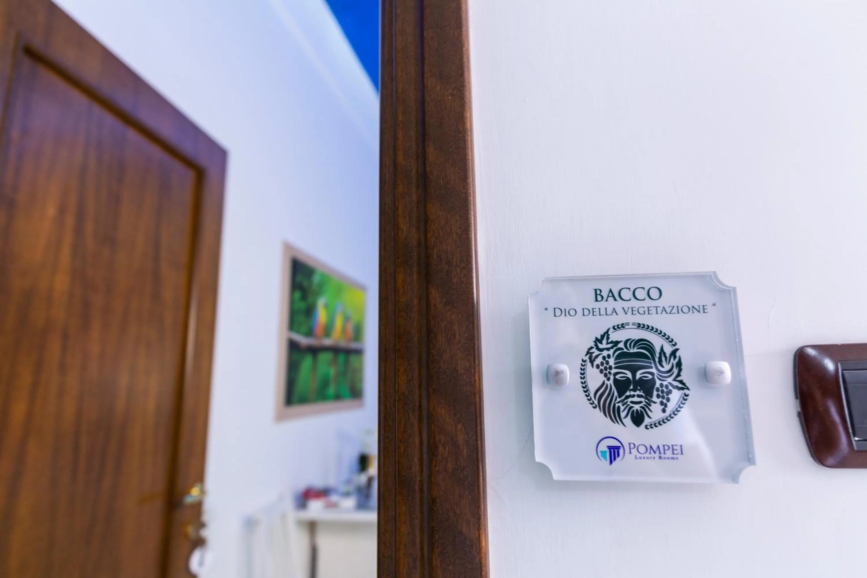 Pompei Luxury Rooms