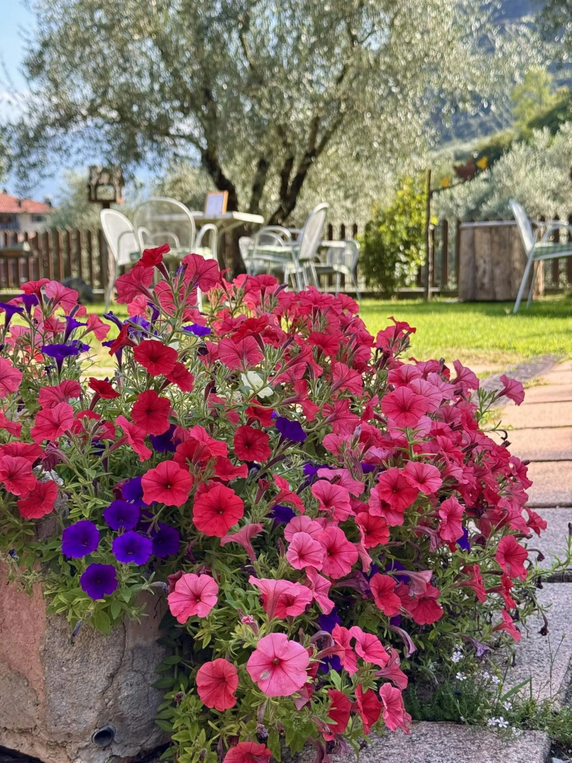Garden in Agritur Girardelli