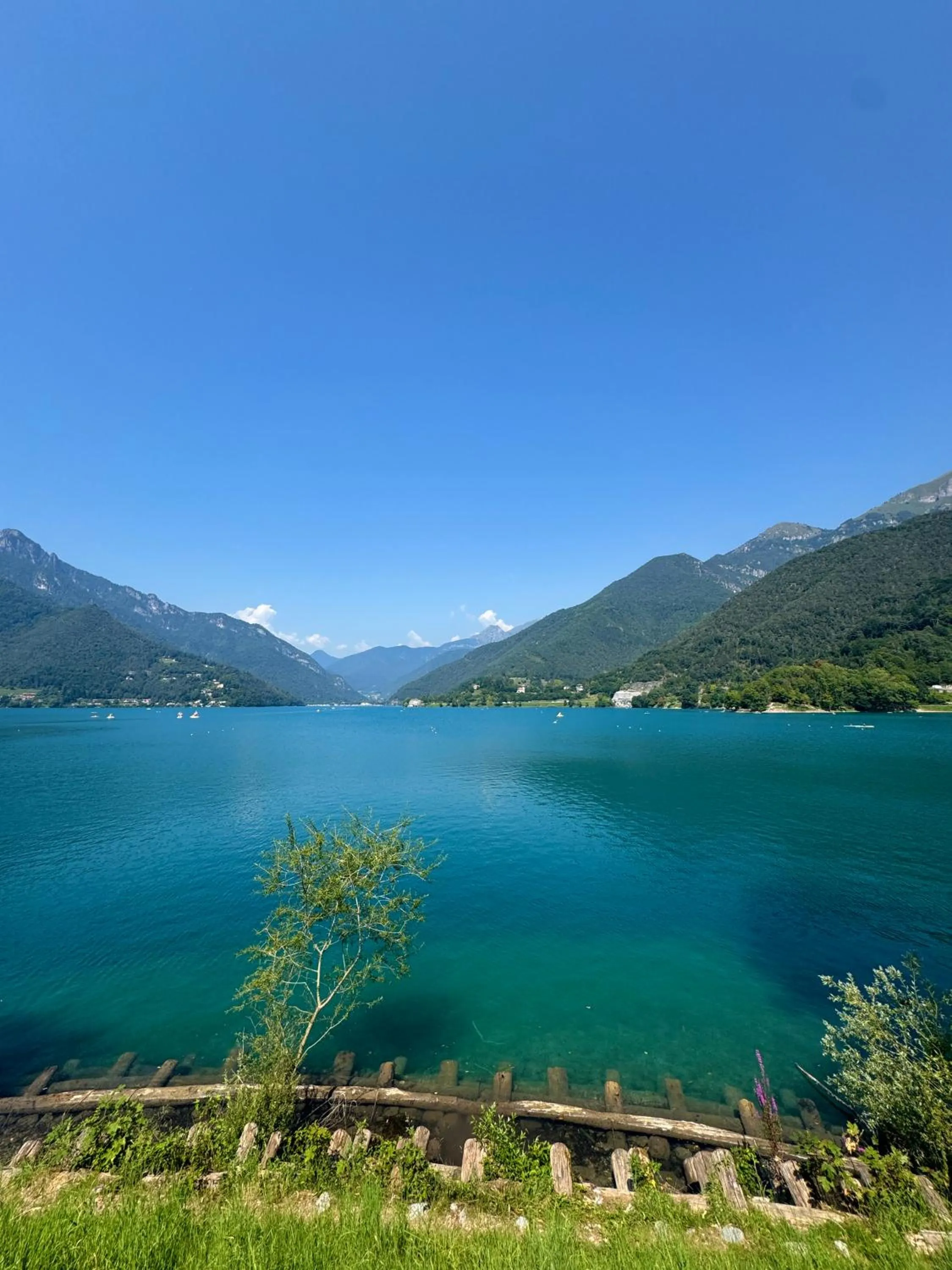 Natural landscape in Agritur Girardelli