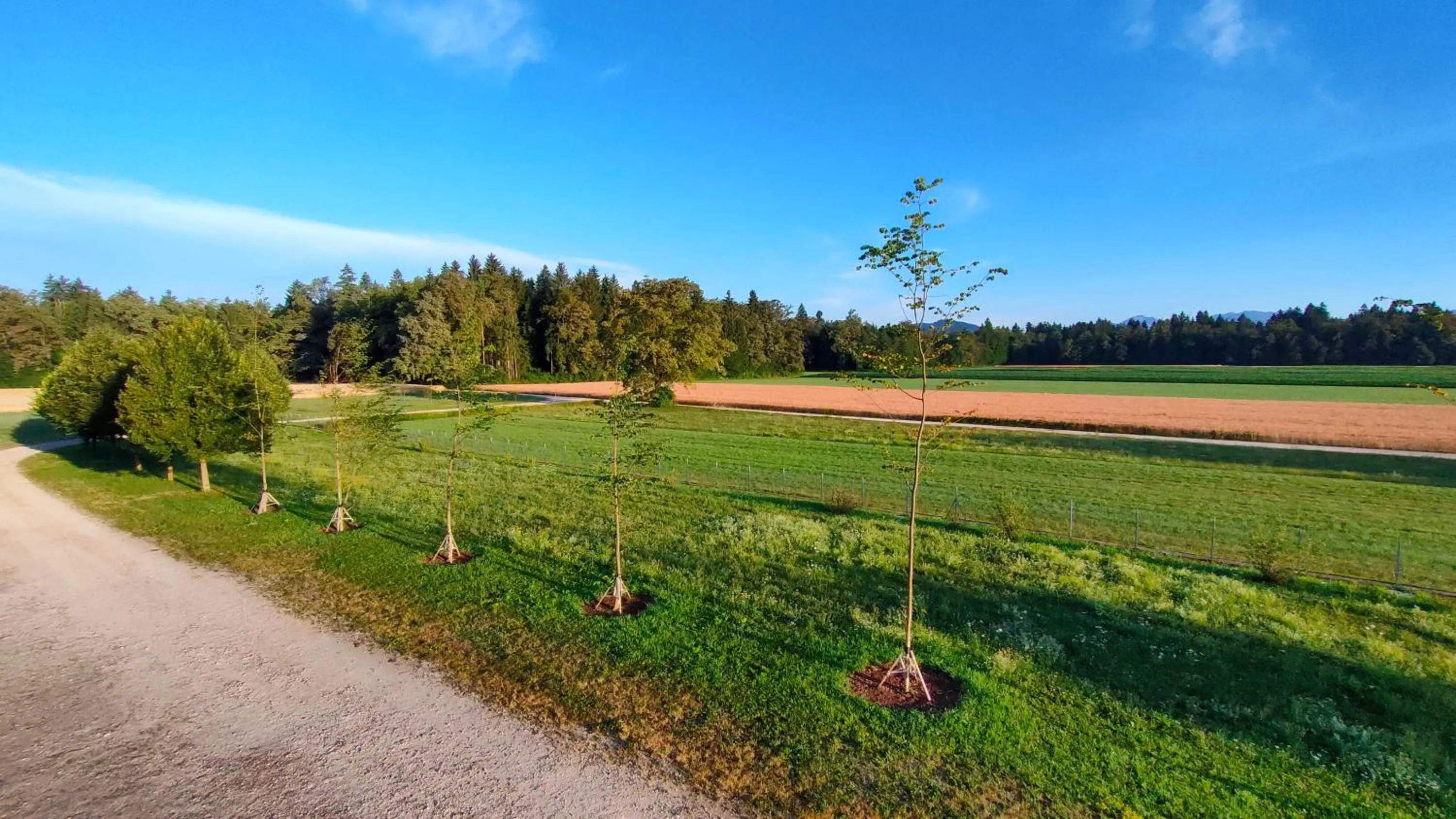 Natural landscape in Bed & Breakfast Na Poljani