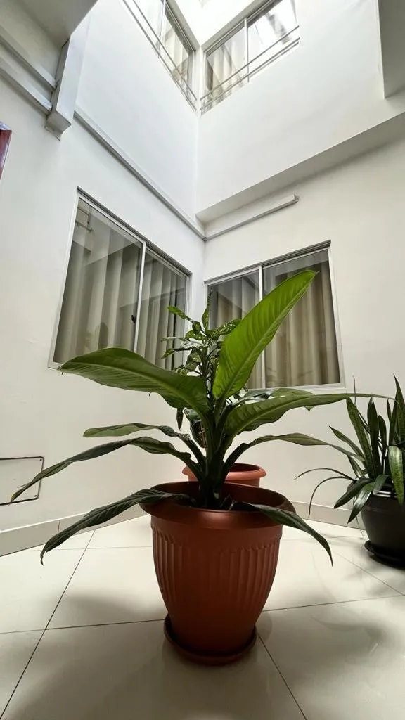 Property building in Fitzcarrald Hotel