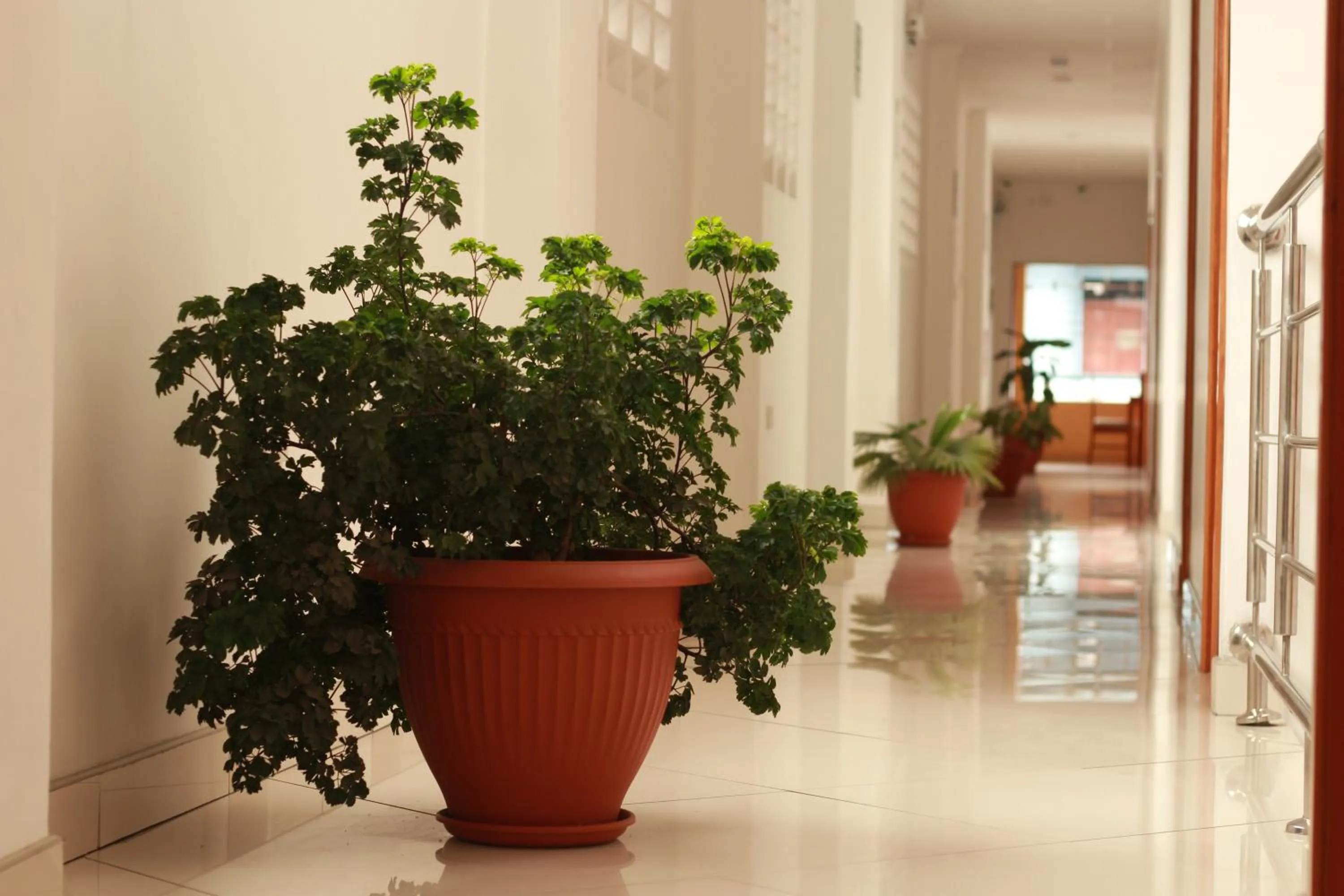 Property building in Fitzcarrald Hotel