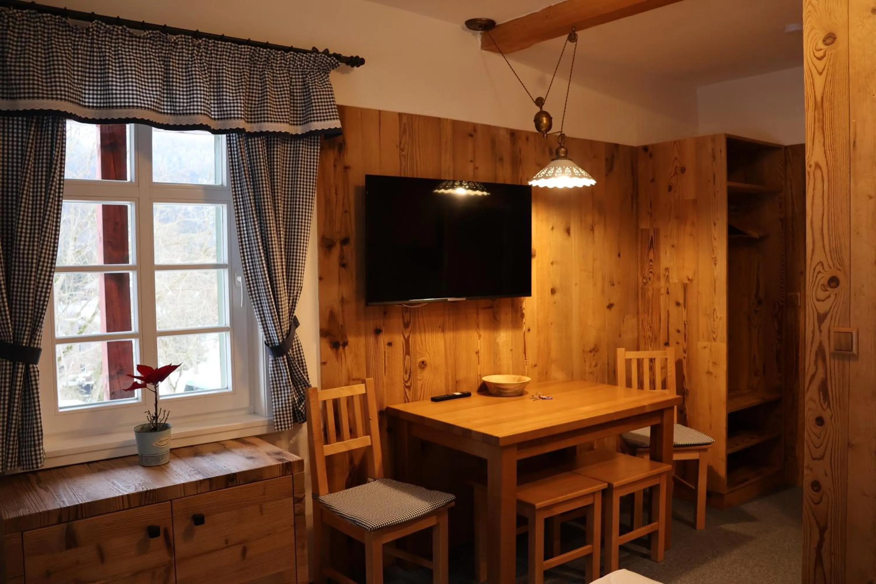 TV and multimedia in Penzion Brnenka