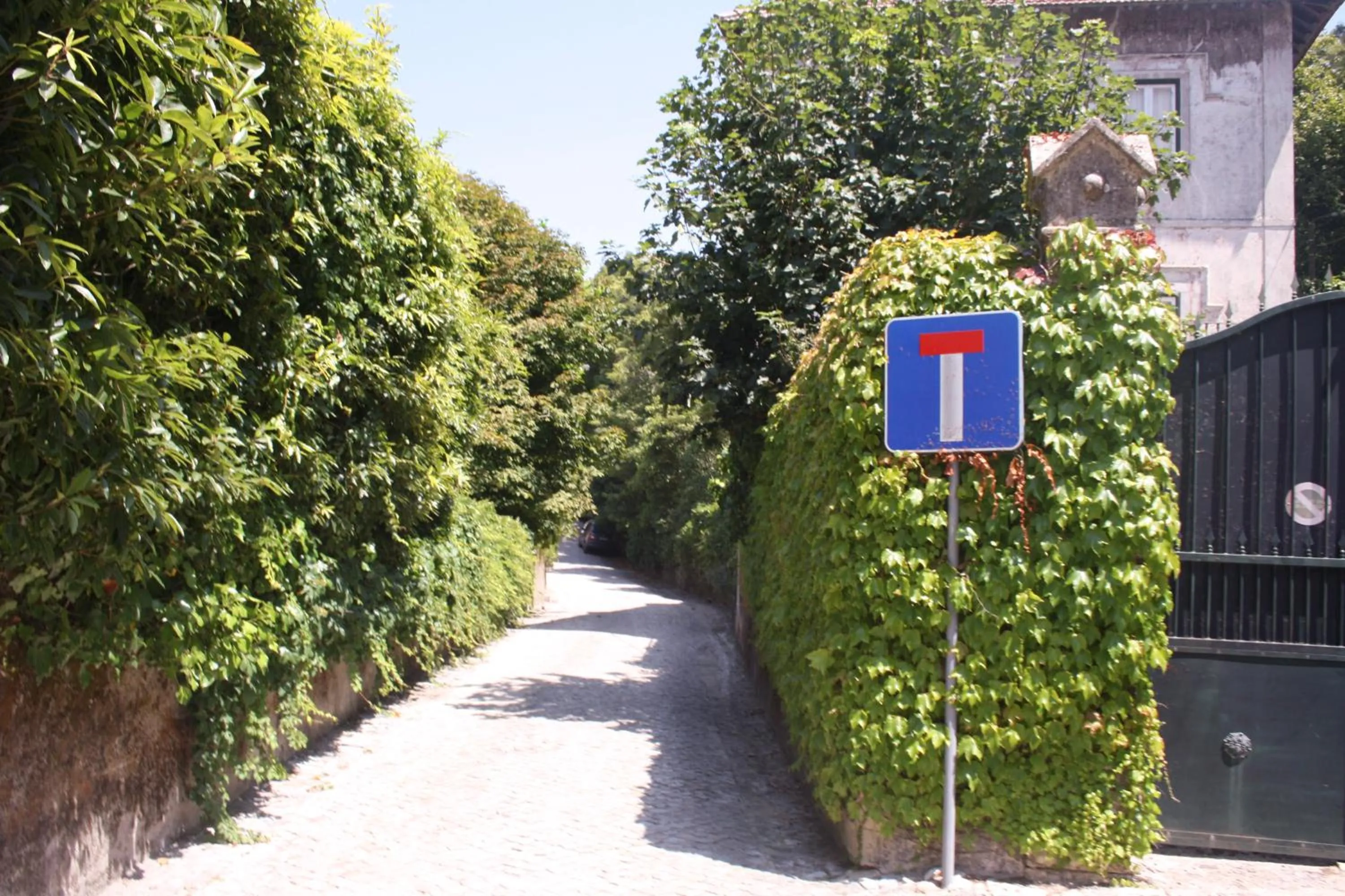 Other in Hotel Sintra Jardim