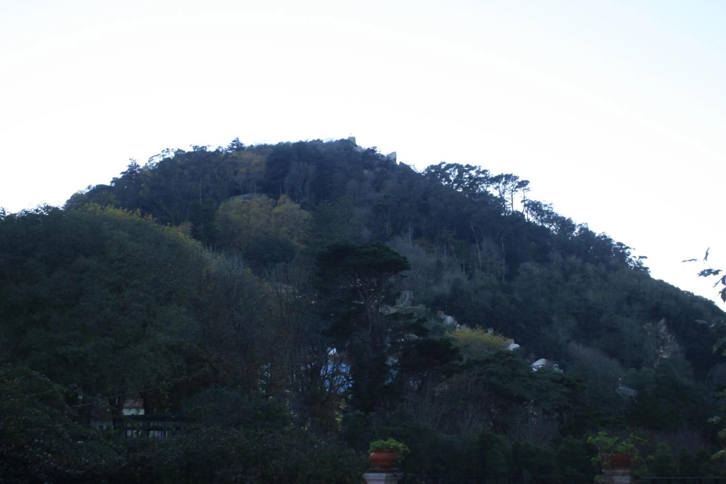 Garden in Hotel Sintra Jardim