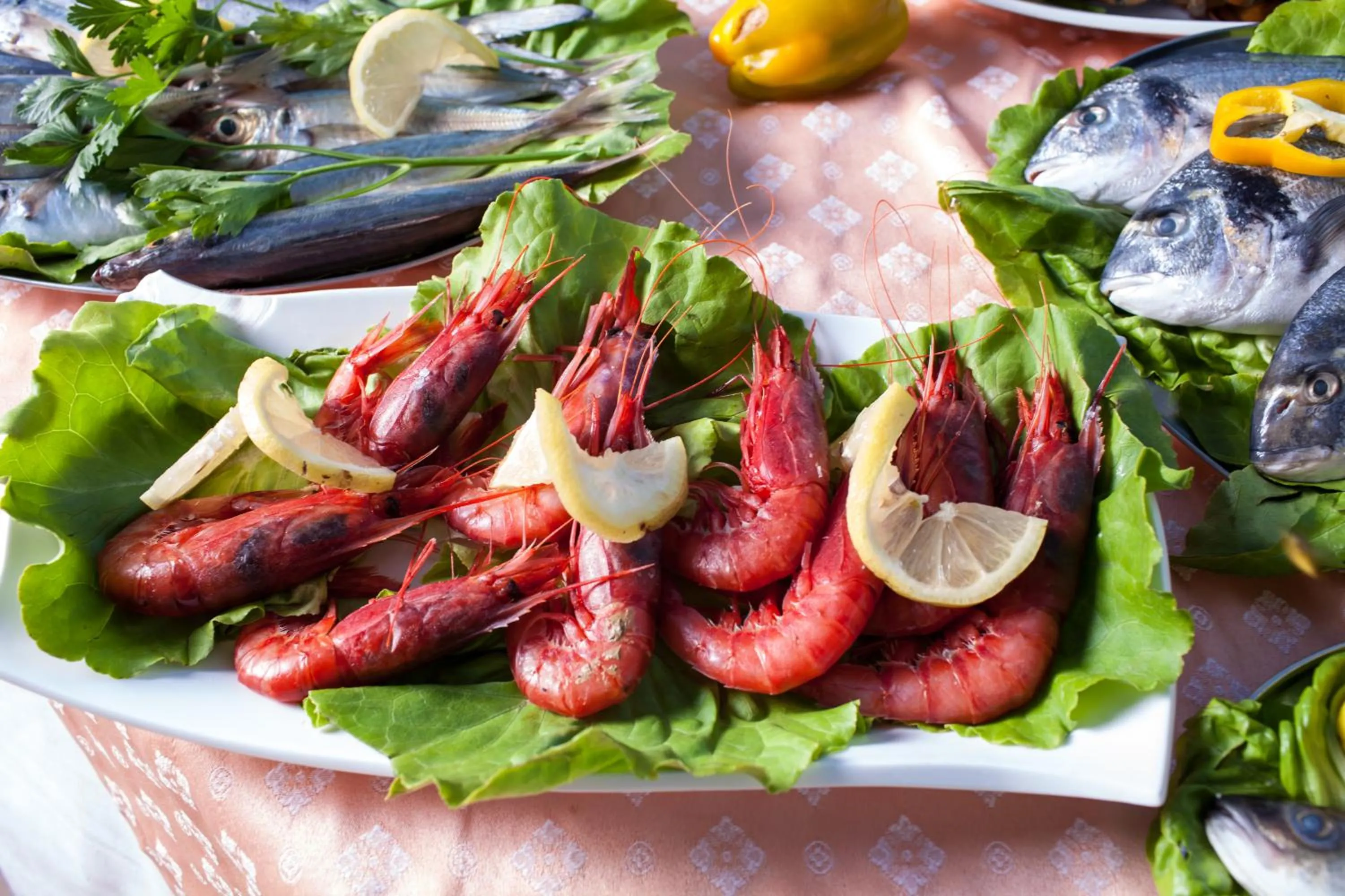 Restaurant/places to eat in Park Hotel Cilento