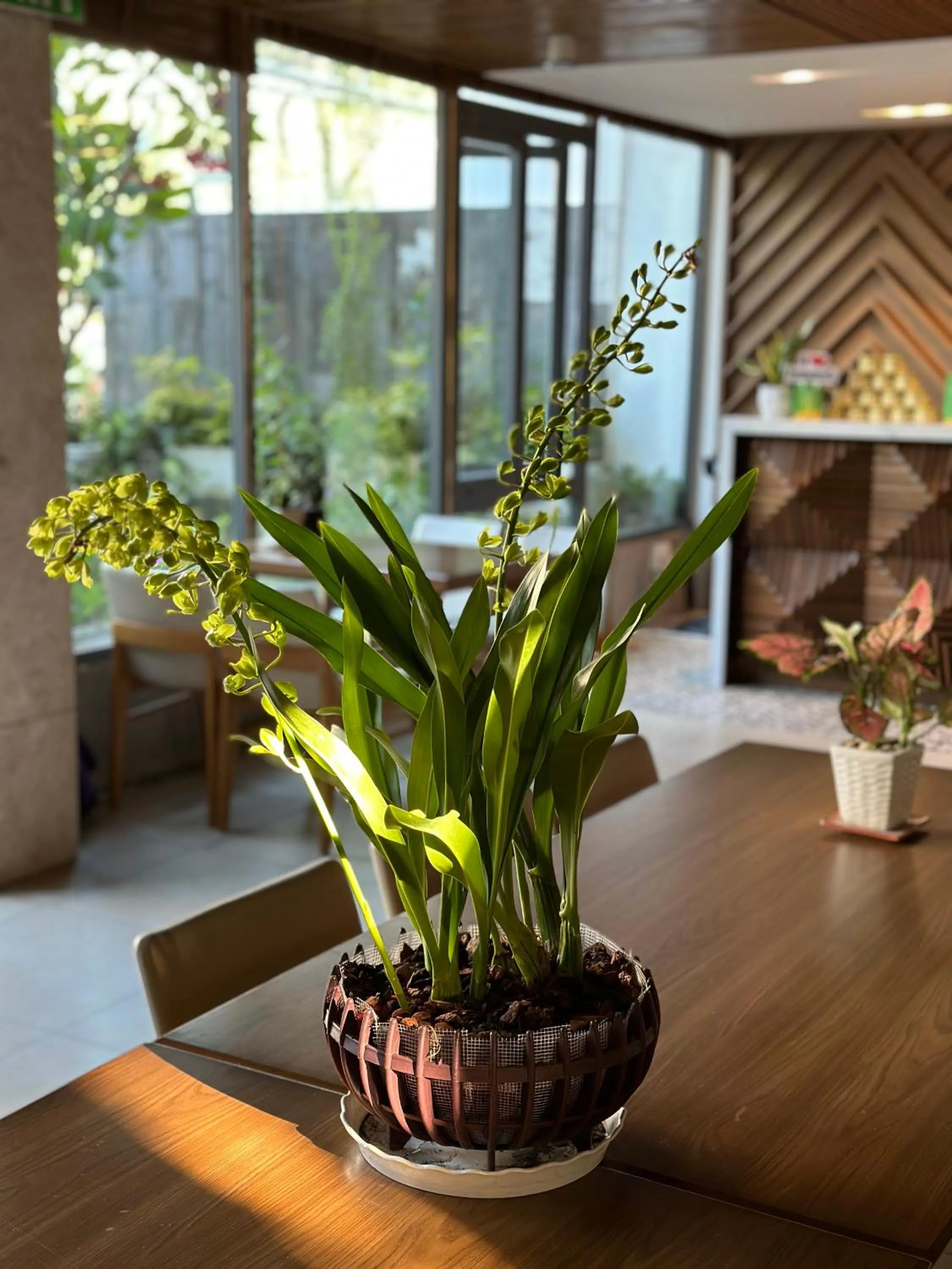 Garden view in Ponte Boutique Da Nang