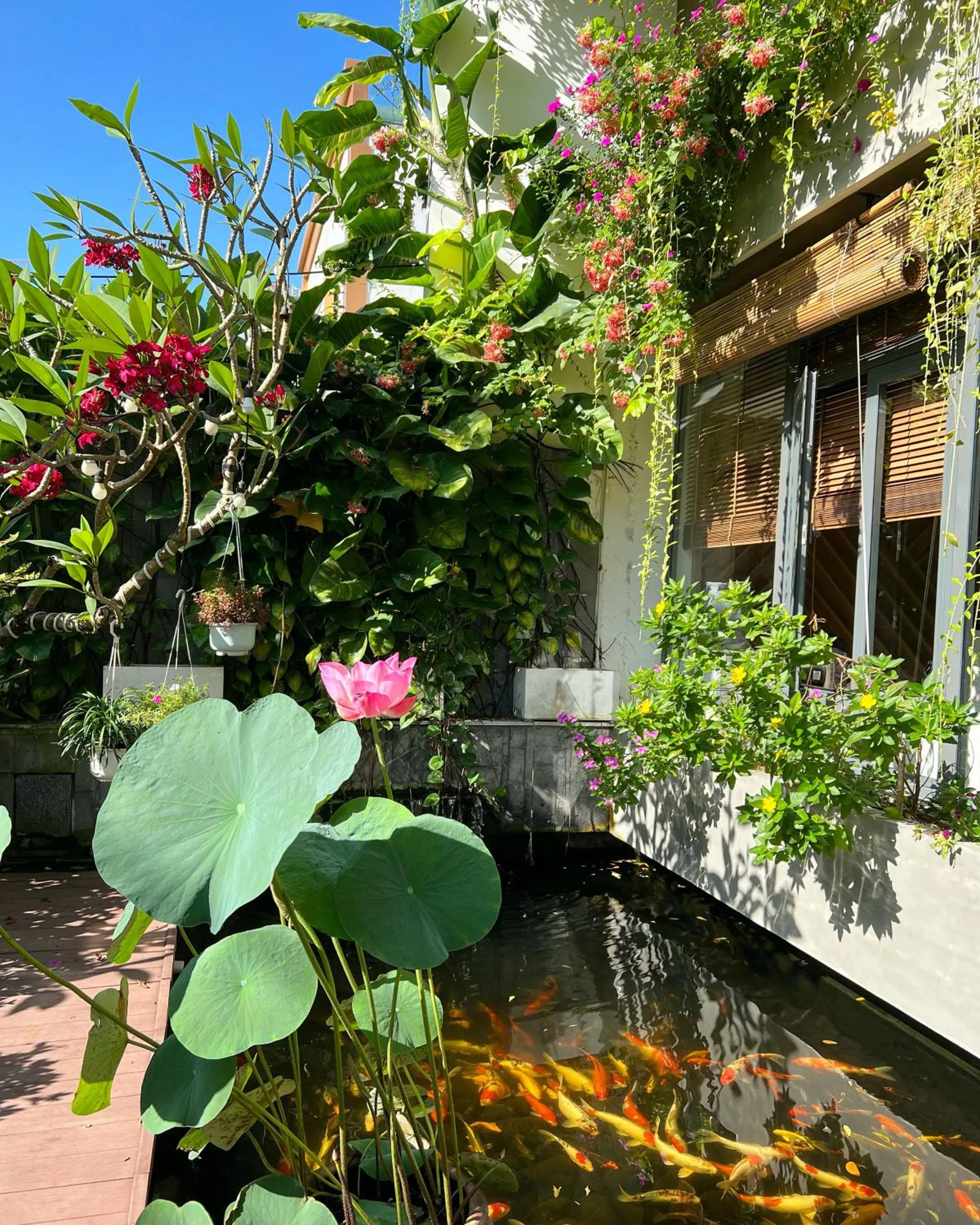 Garden in Ponte Boutique Da Nang