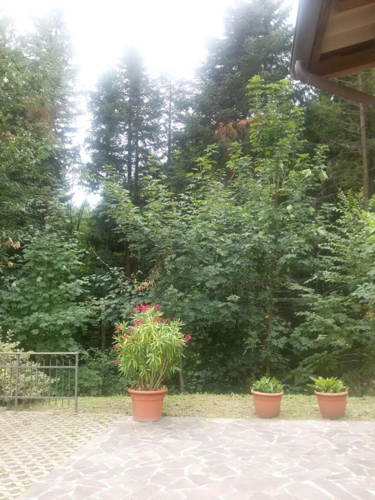 Restaurant/places to eat in Hotel Bruna