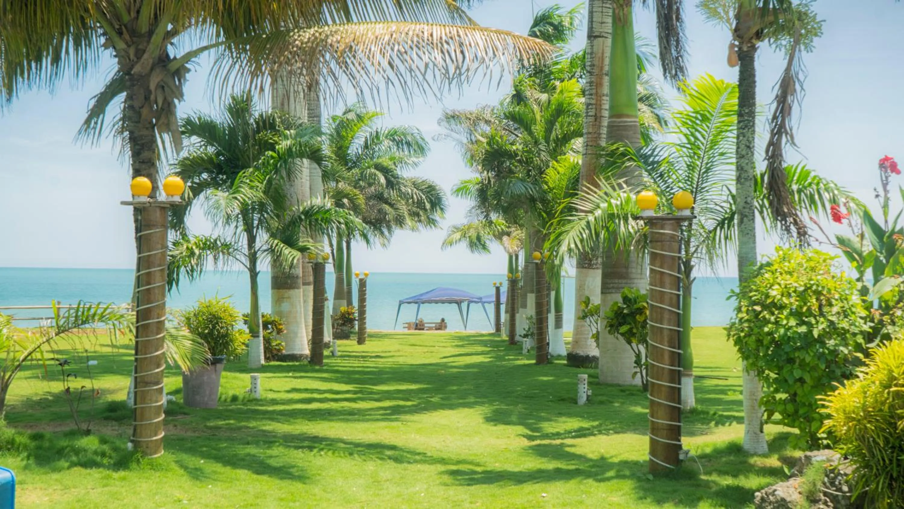 Garden in Hotel Puerto Ballesta