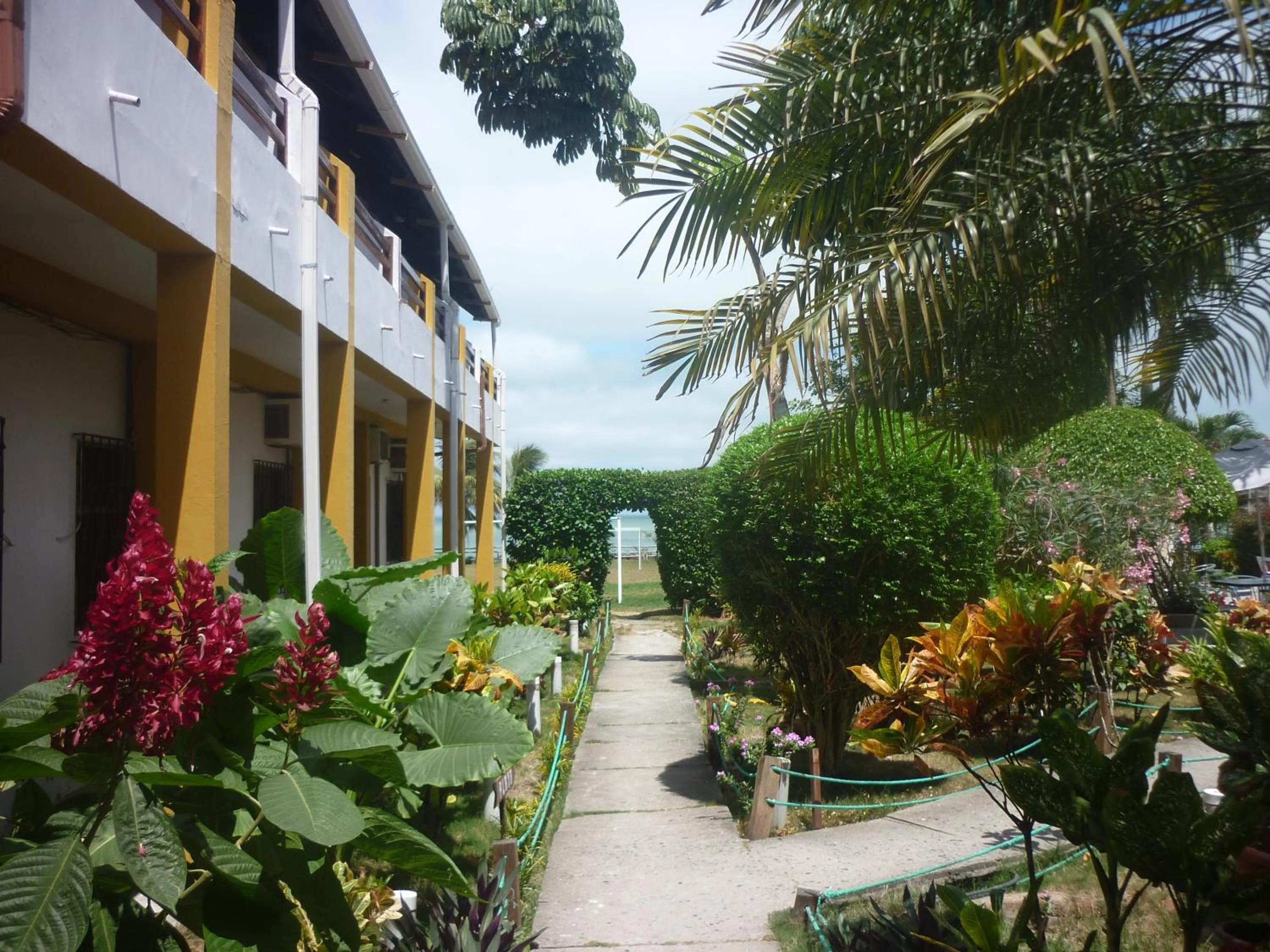Garden in Hotel Puerto Ballesta