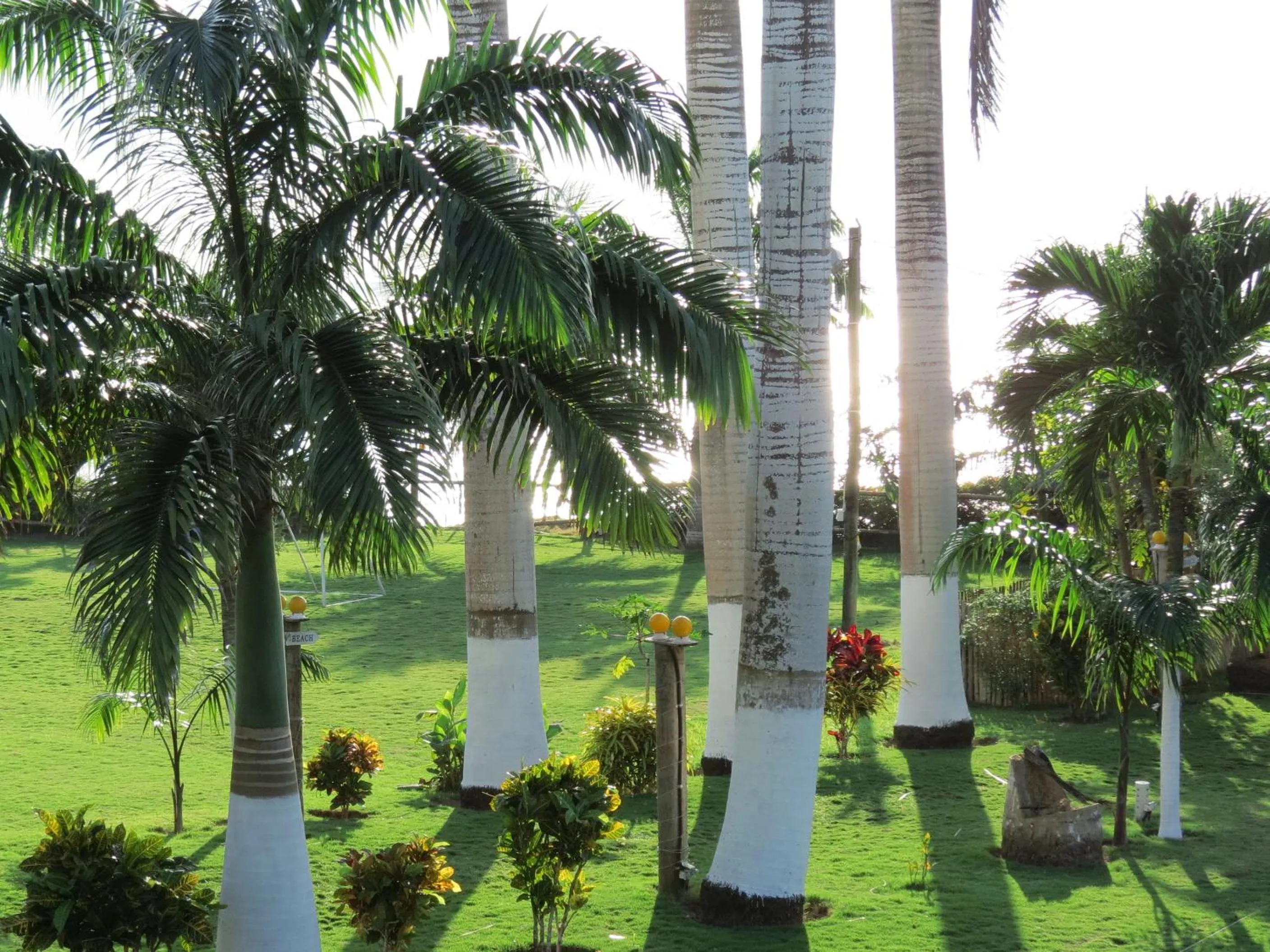 Garden in Hotel Puerto Ballesta