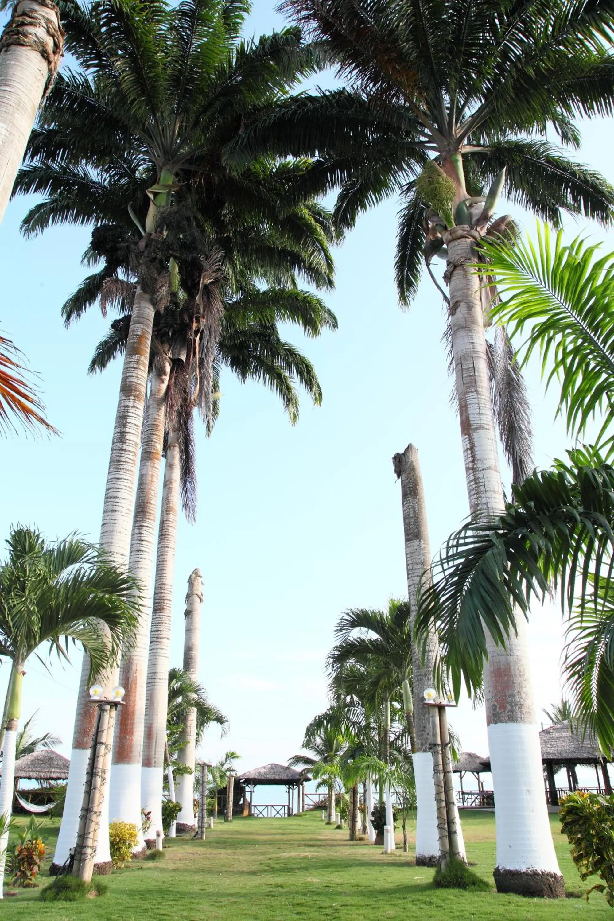 Garden in Hotel Puerto Ballesta