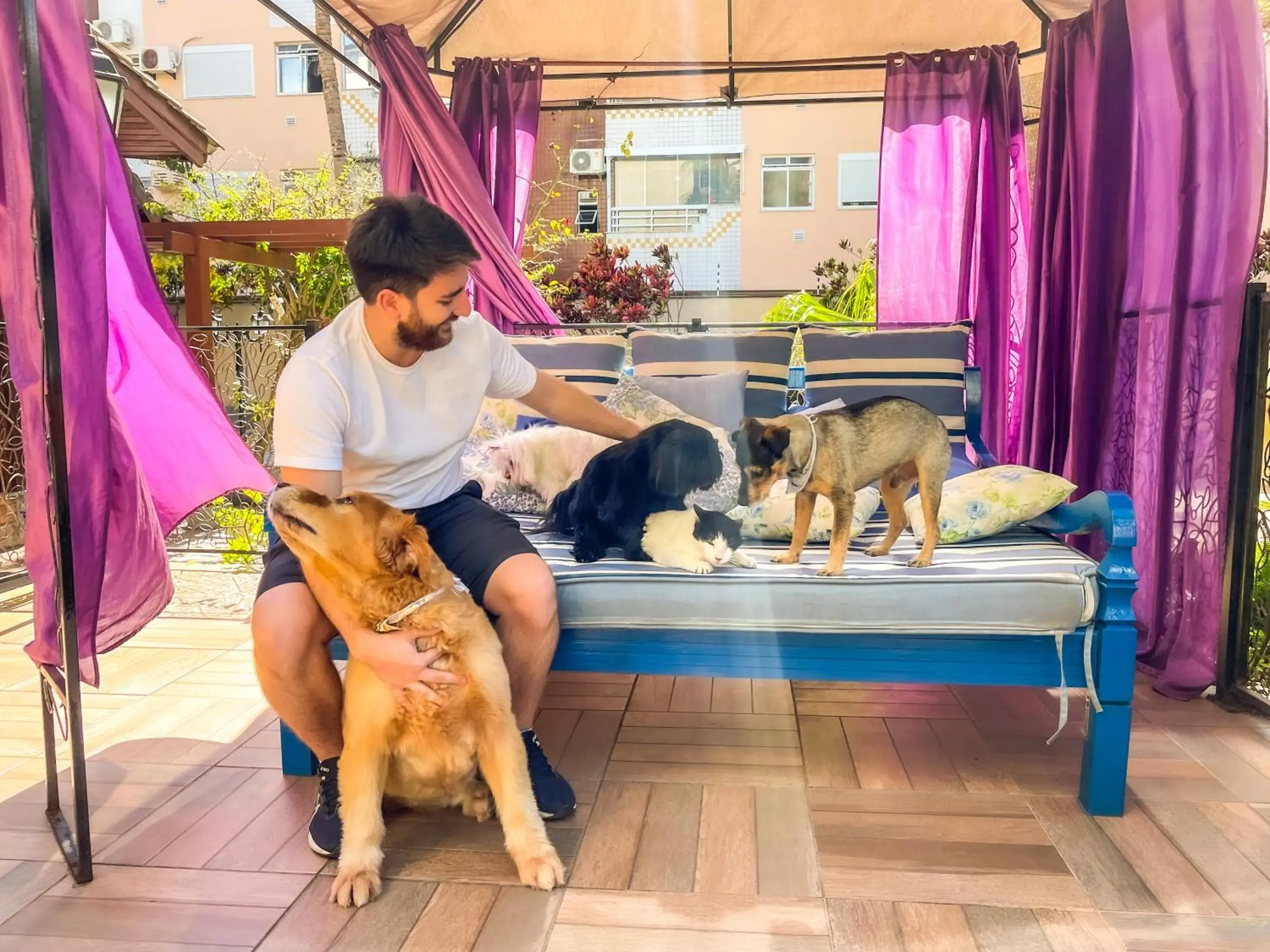 Hotel & Pousada Sonho Meu Hotel & Pousada Sonho Meu