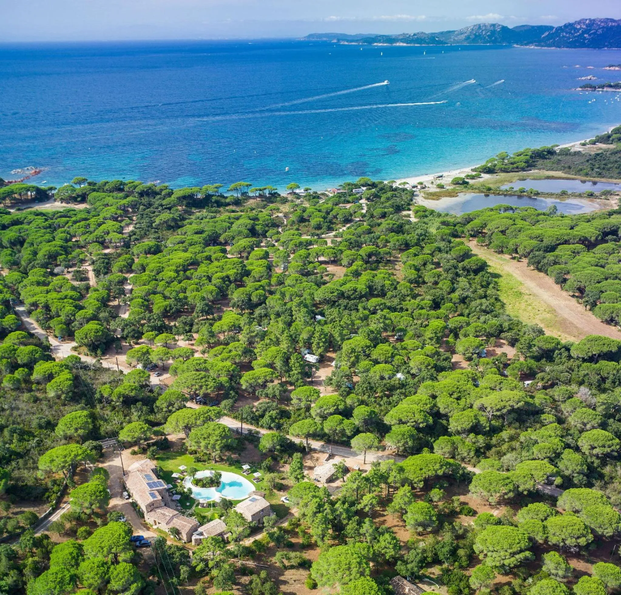 Beach in Hôtel Ambassador Palombaggia