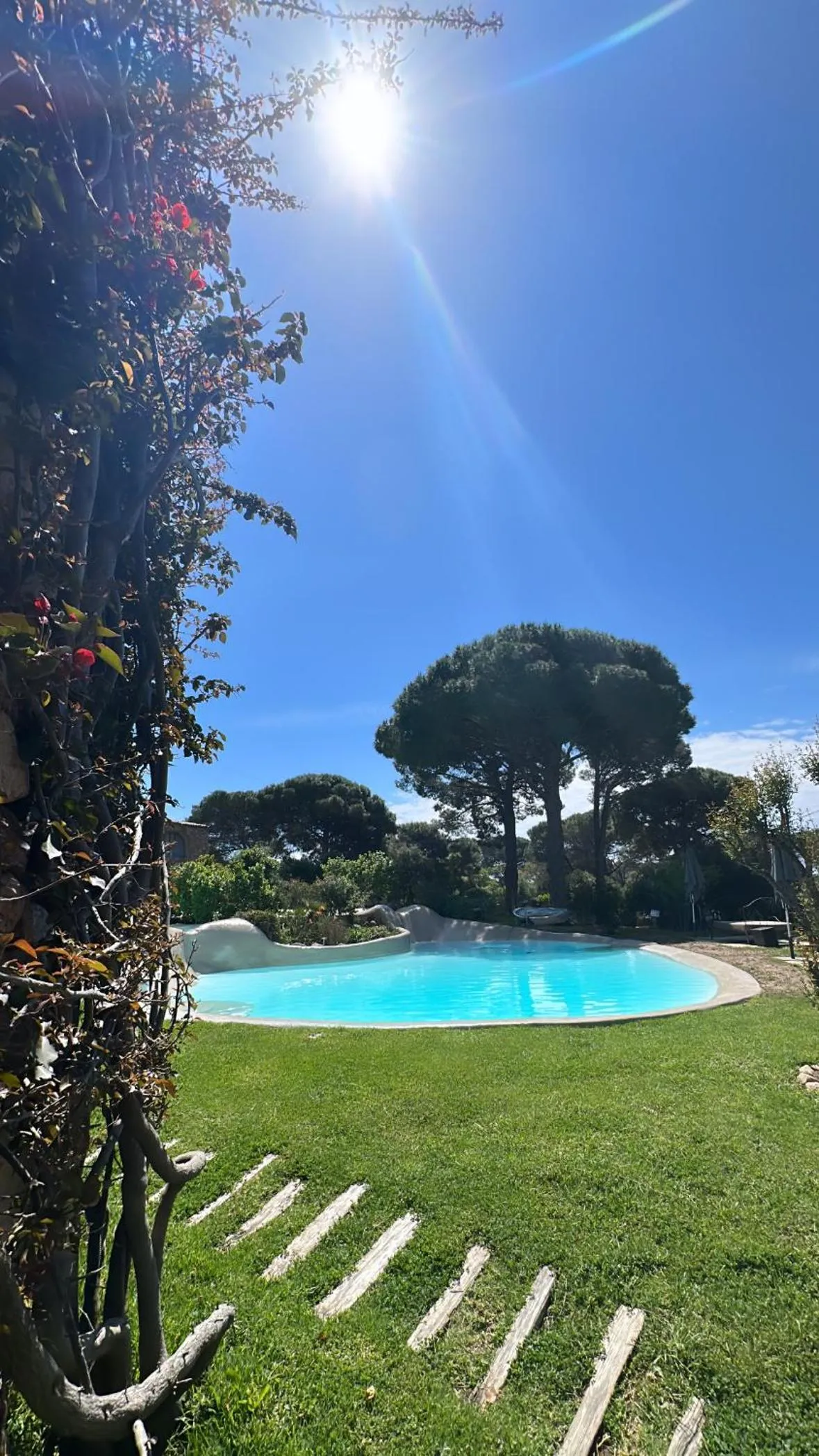Pool view in Hôtel Ambassador Palombaggia