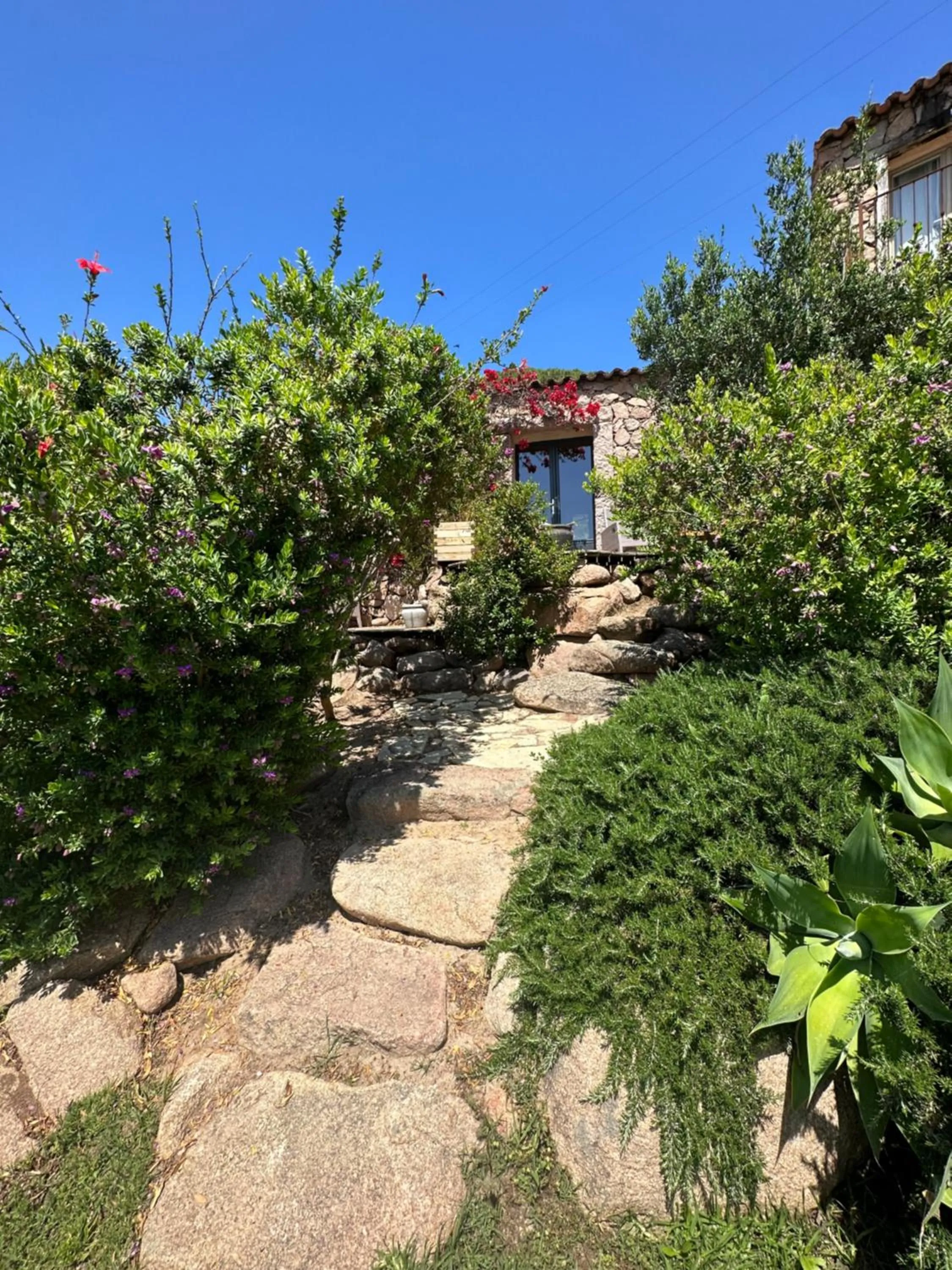 Garden in Hôtel Ambassador Palombaggia