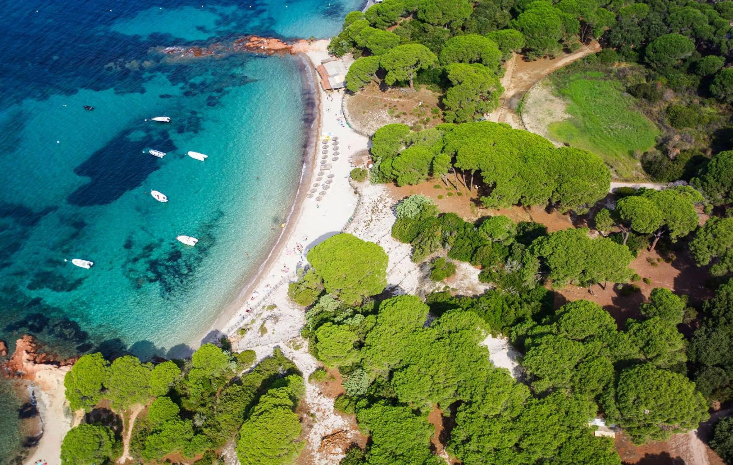 Beach in Hôtel Ambassador Palombaggia