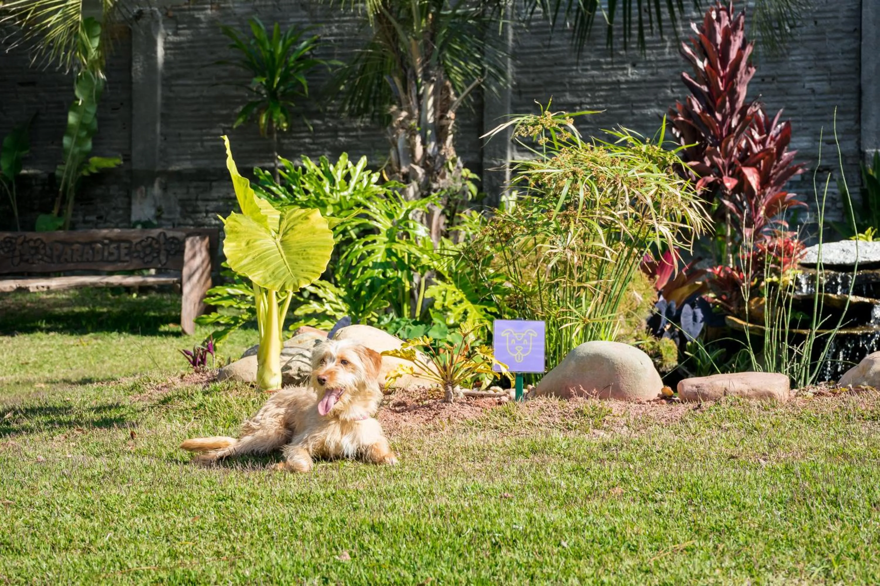 Garden in Makkai Resort Hotel Bombinhas