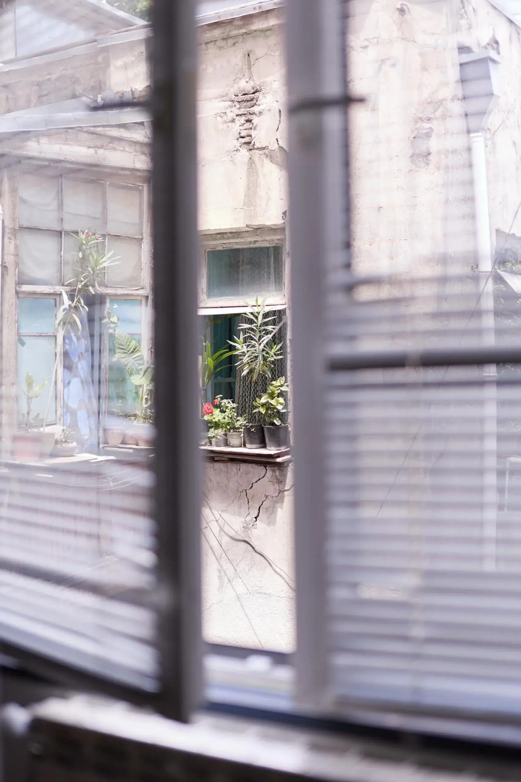 View (from property/room) in Moosica Hostel View (from property/room) in Moosica Hostel