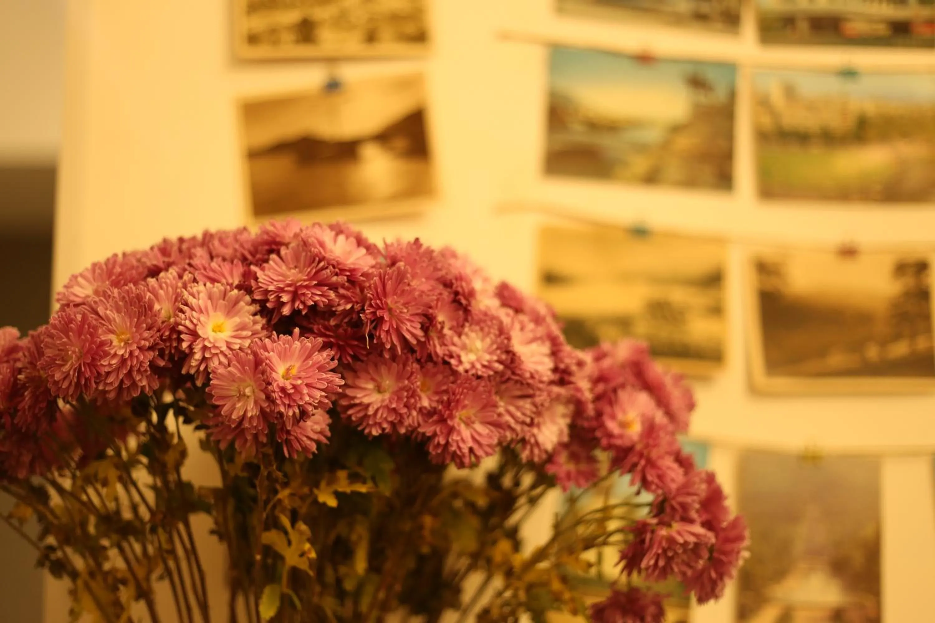 Communal lounge/ TV room in Moosica Hostel