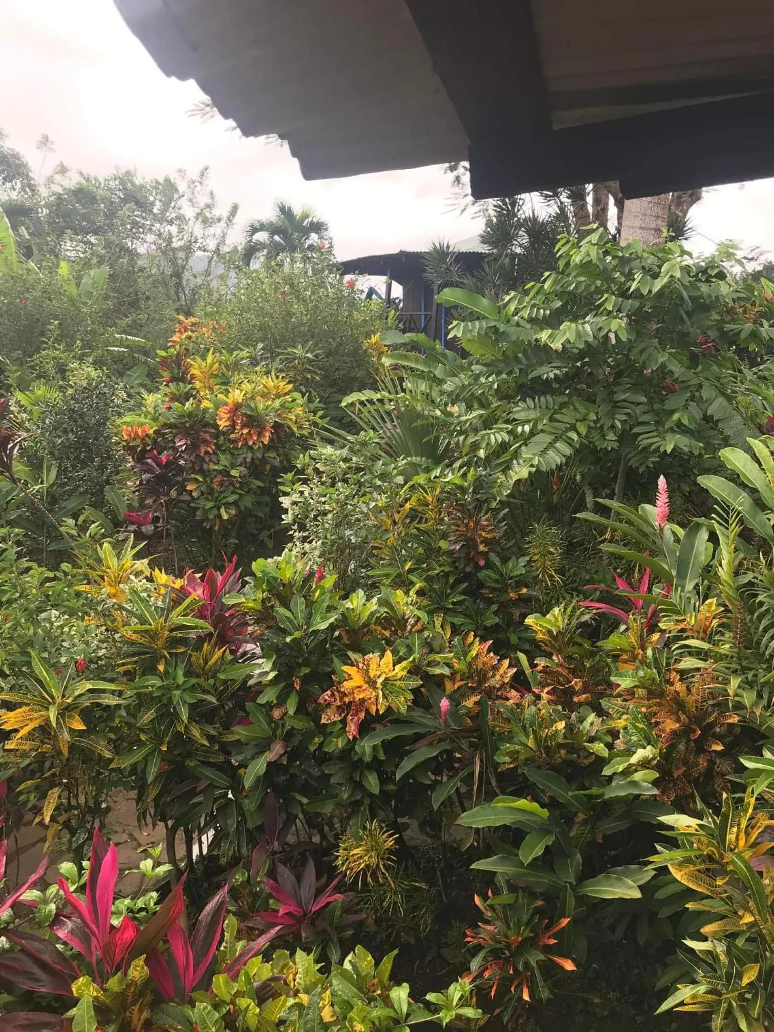 Natural landscape in Hibiscus Valley Inn