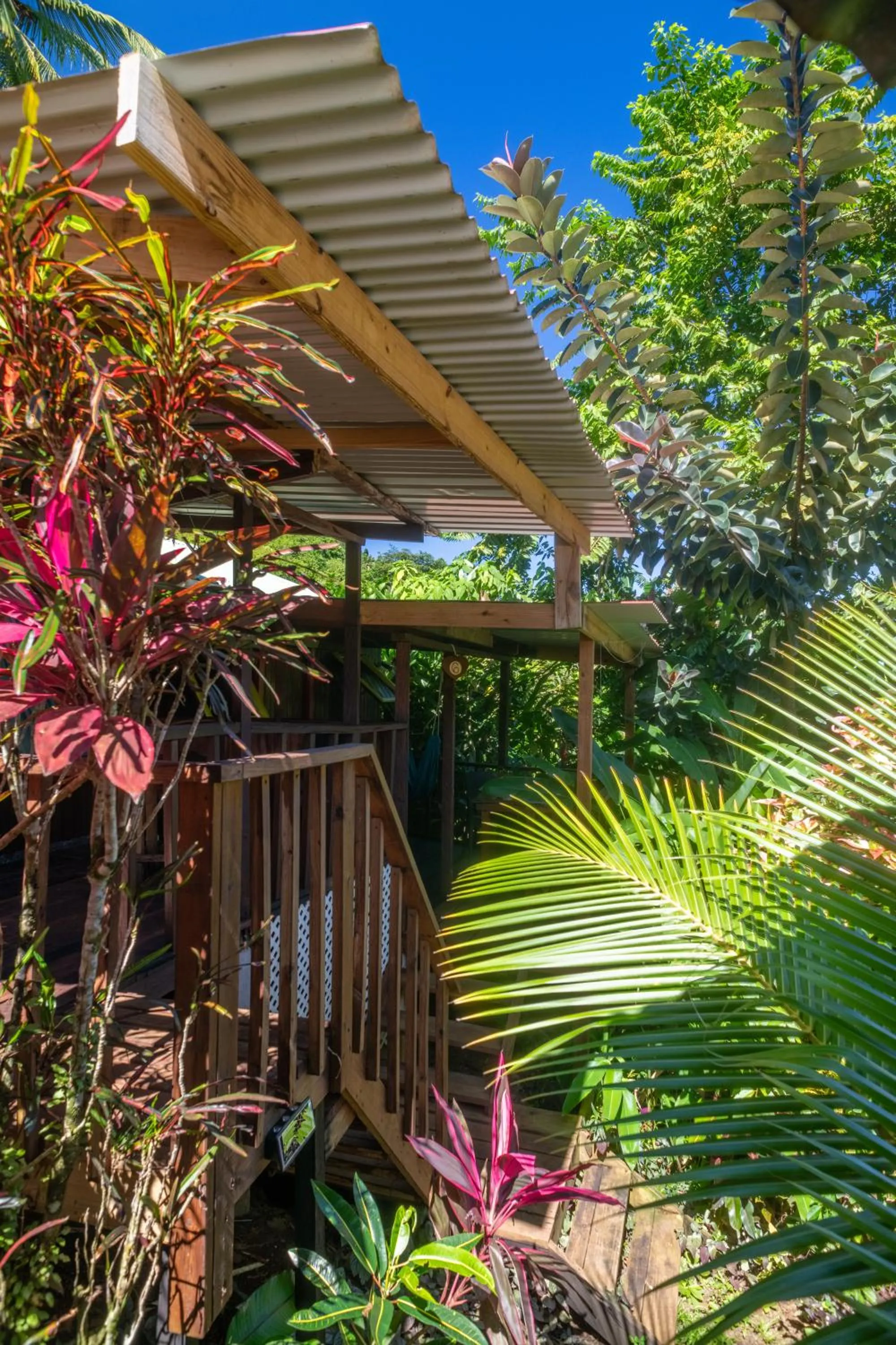 Day in Hibiscus Valley Inn