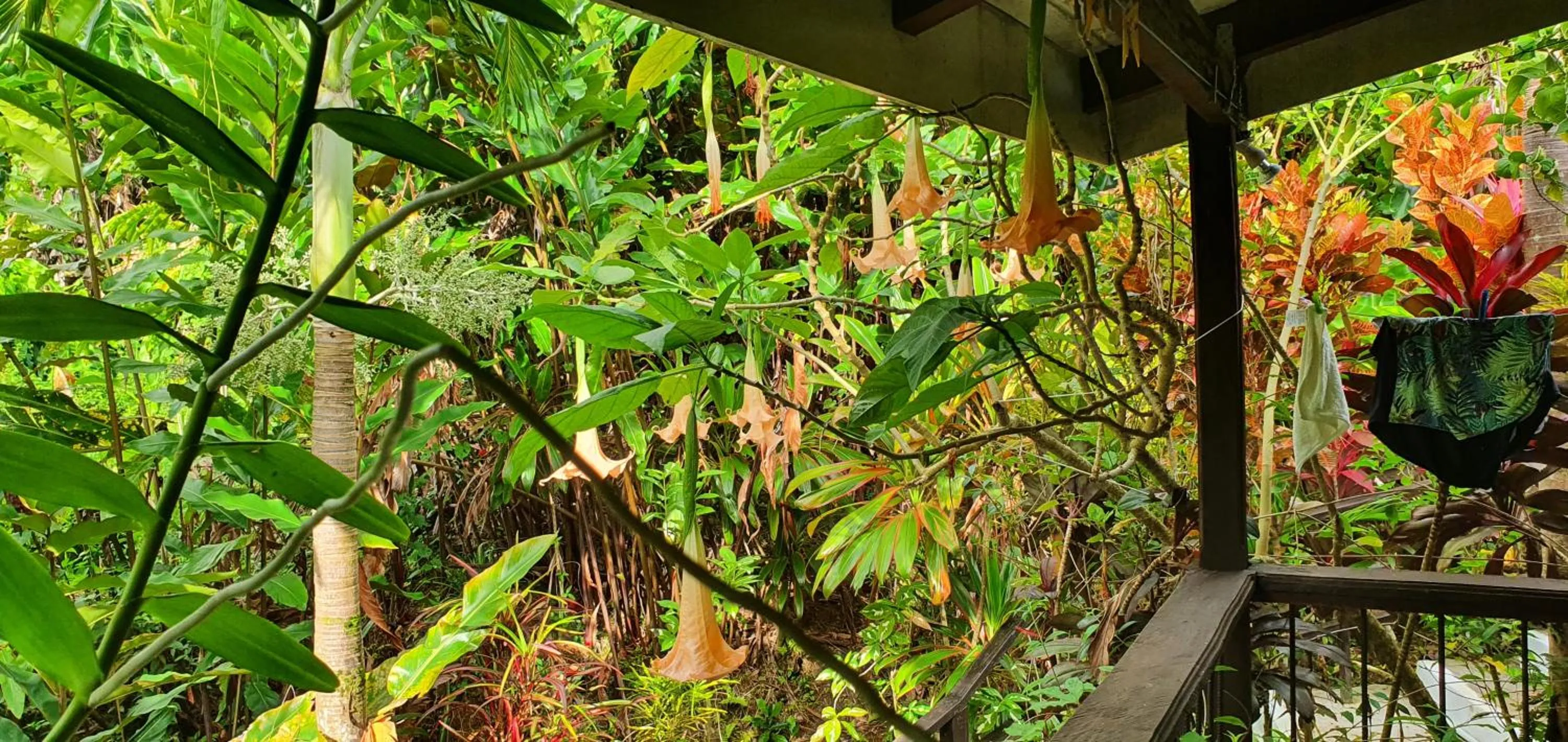 Property building in Hibiscus Valley Inn