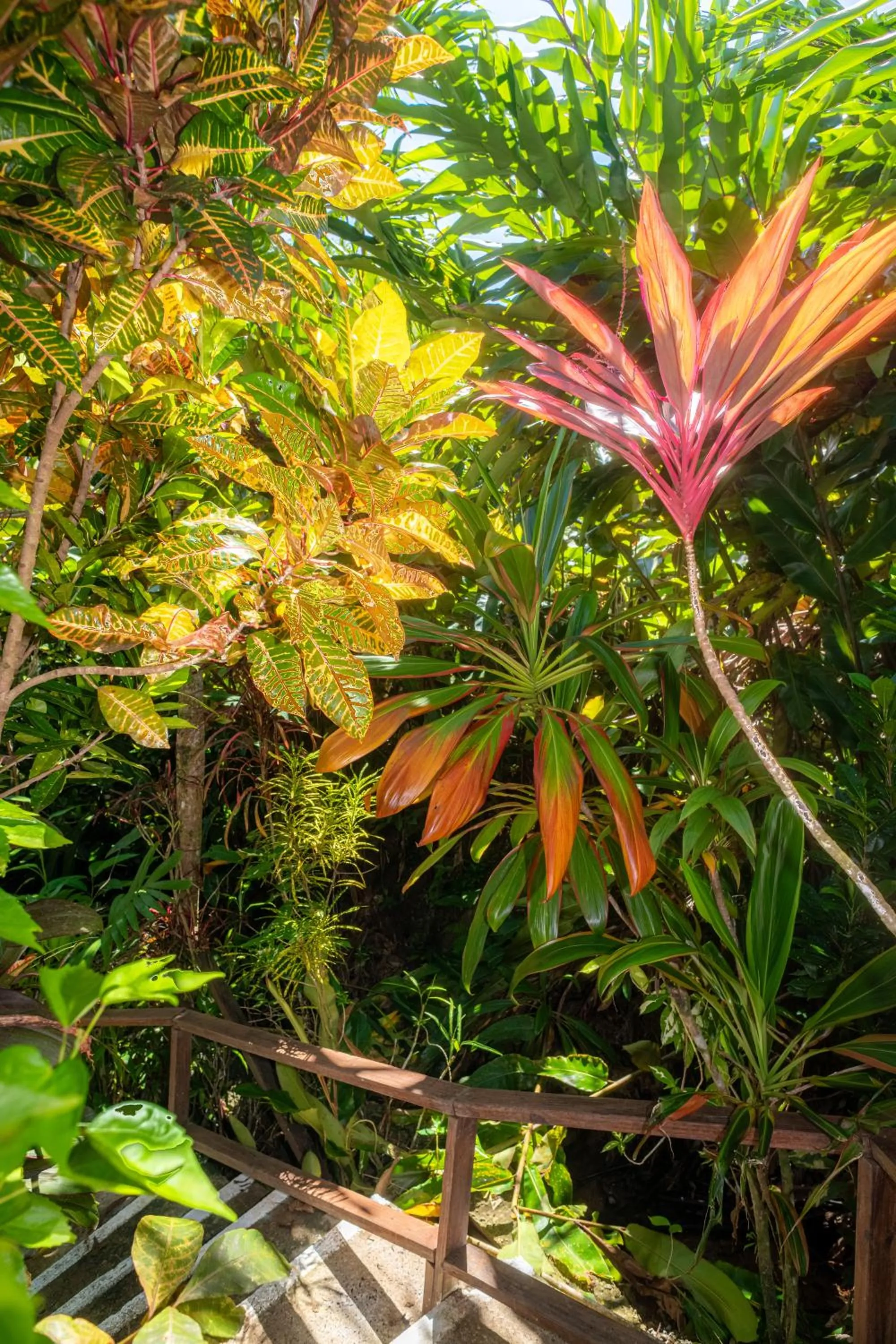 Property building in Hibiscus Valley Inn