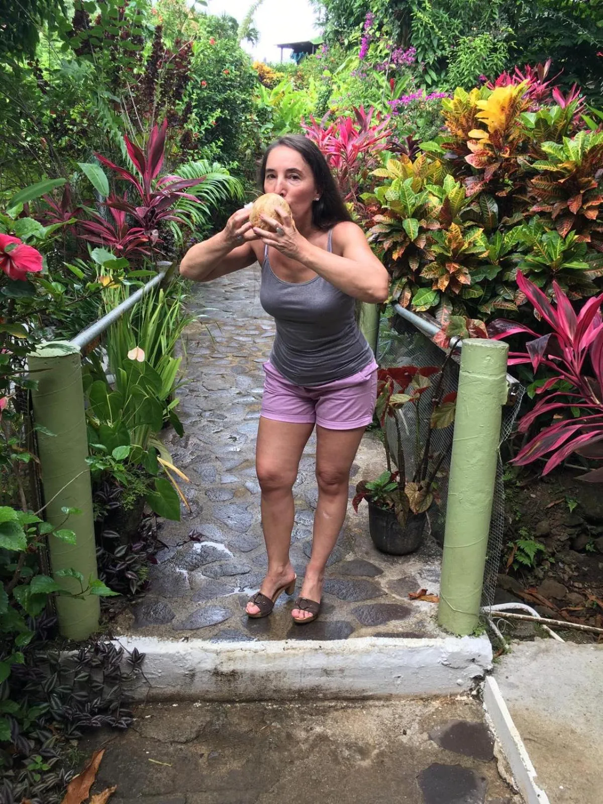 Garden in Hibiscus Valley Inn