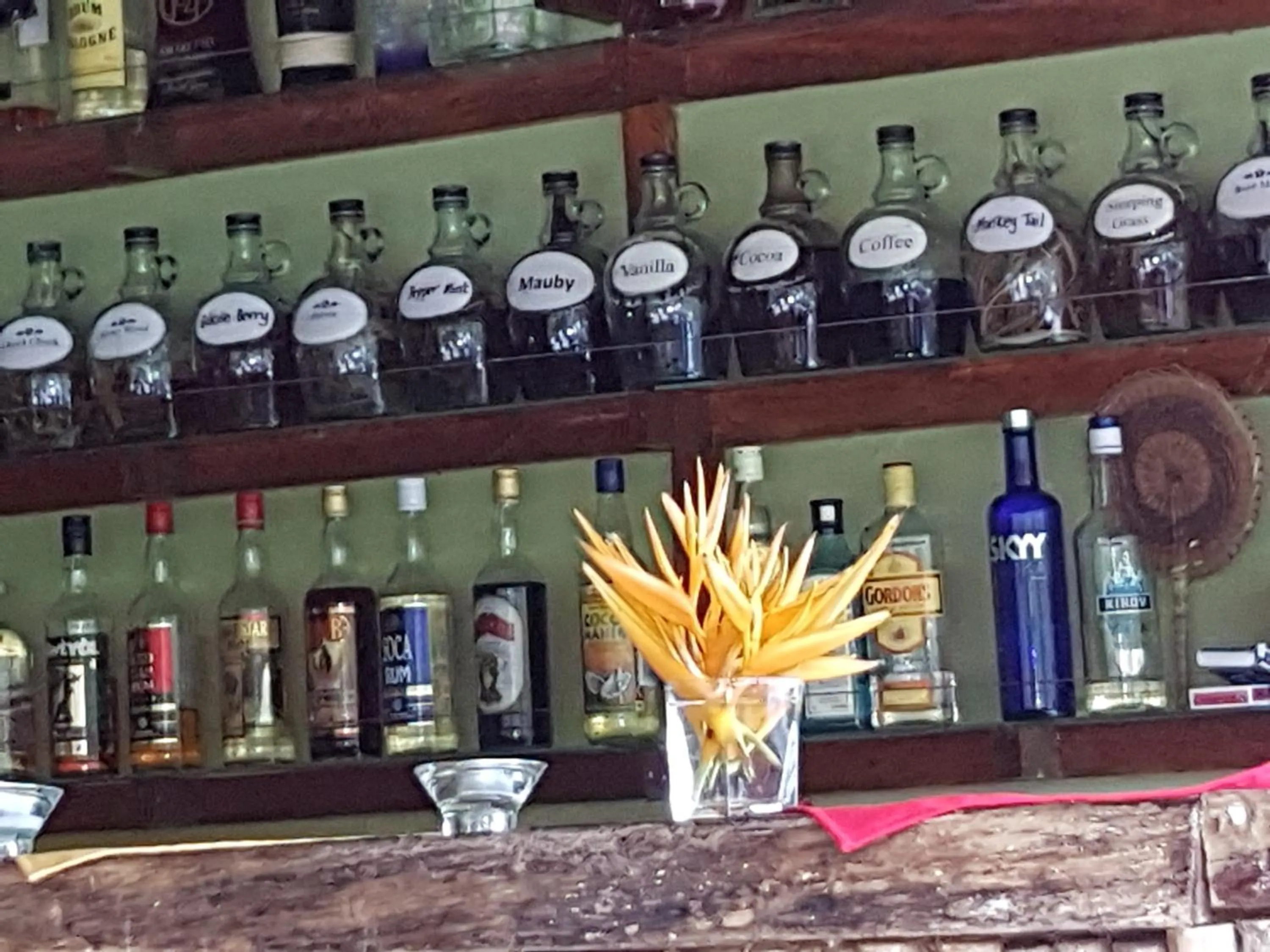 Lounge or bar in Hibiscus Valley Inn