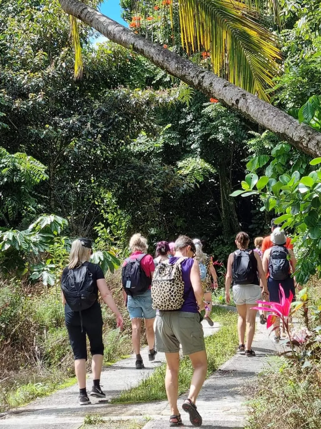 Hiking in Hibiscus Valley Inn