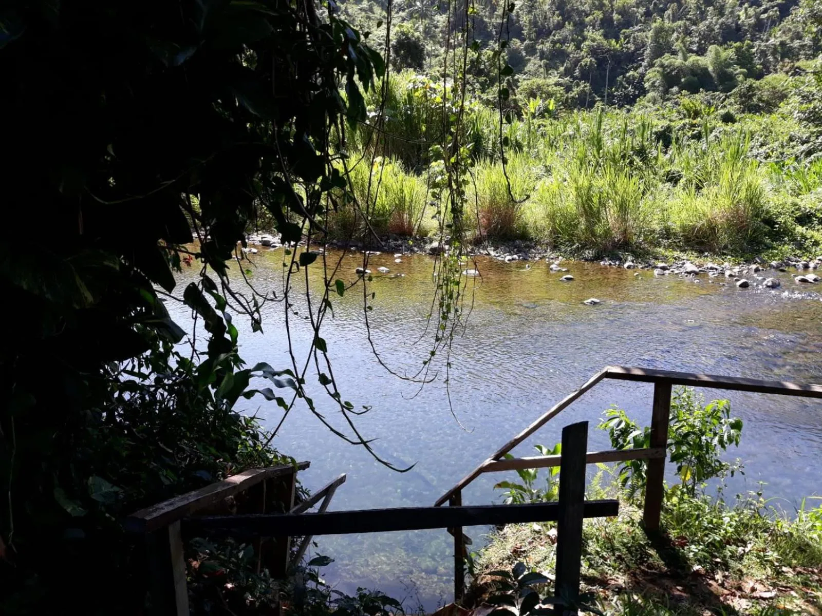 Activities in Hibiscus Valley Inn