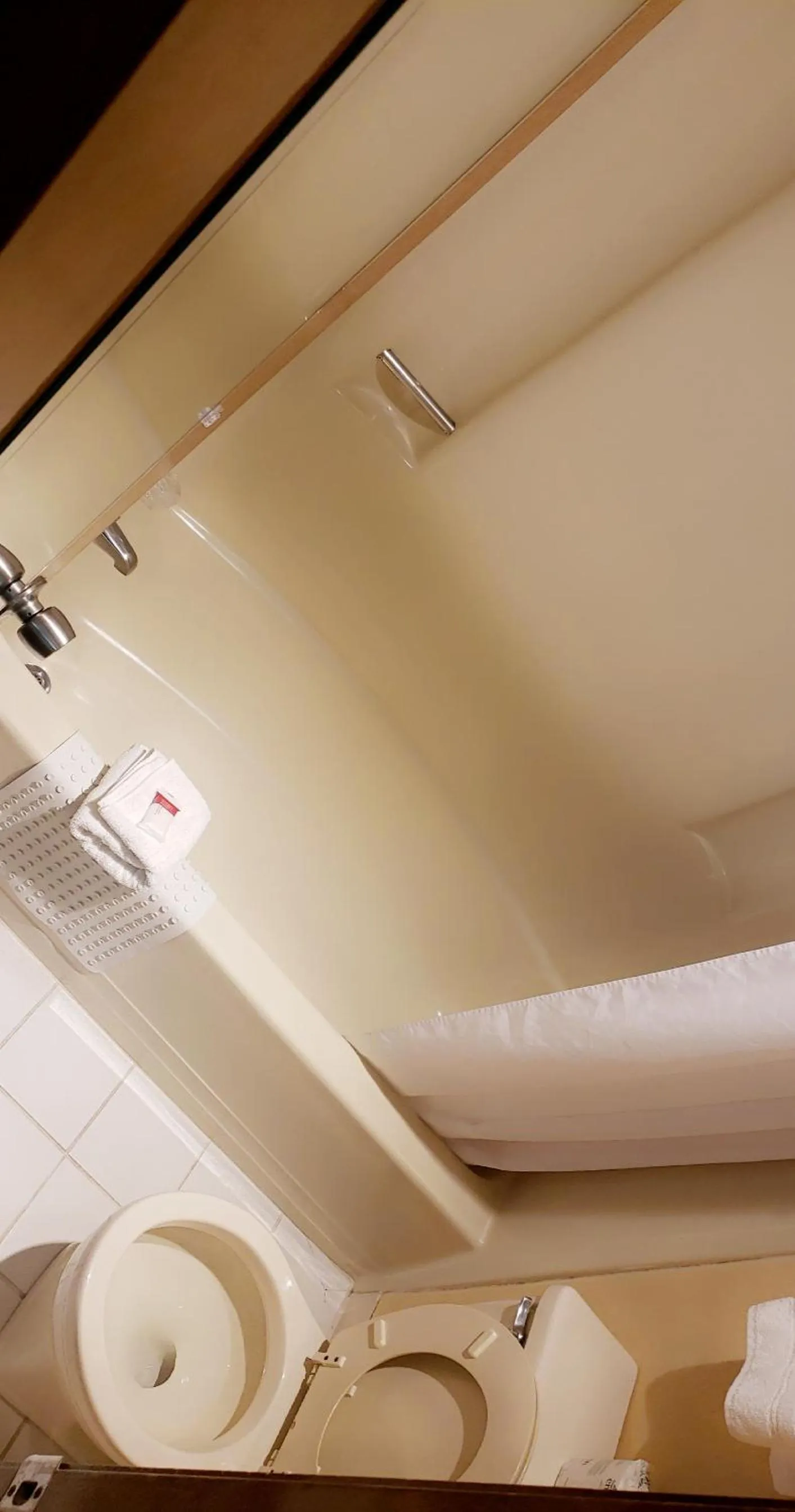 Bathroom in Rodeway Inn