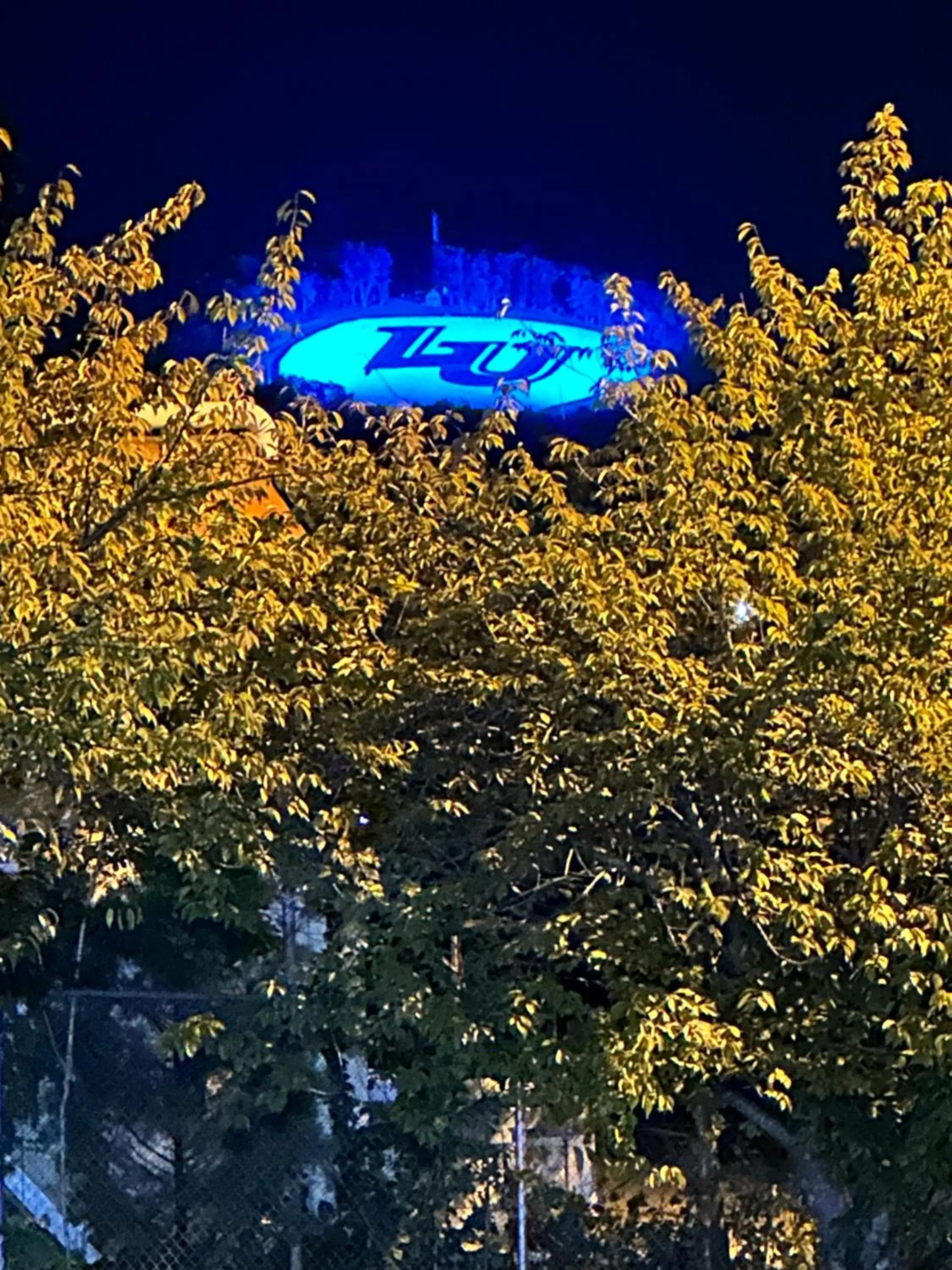 Mountain view in Rodeway Inn