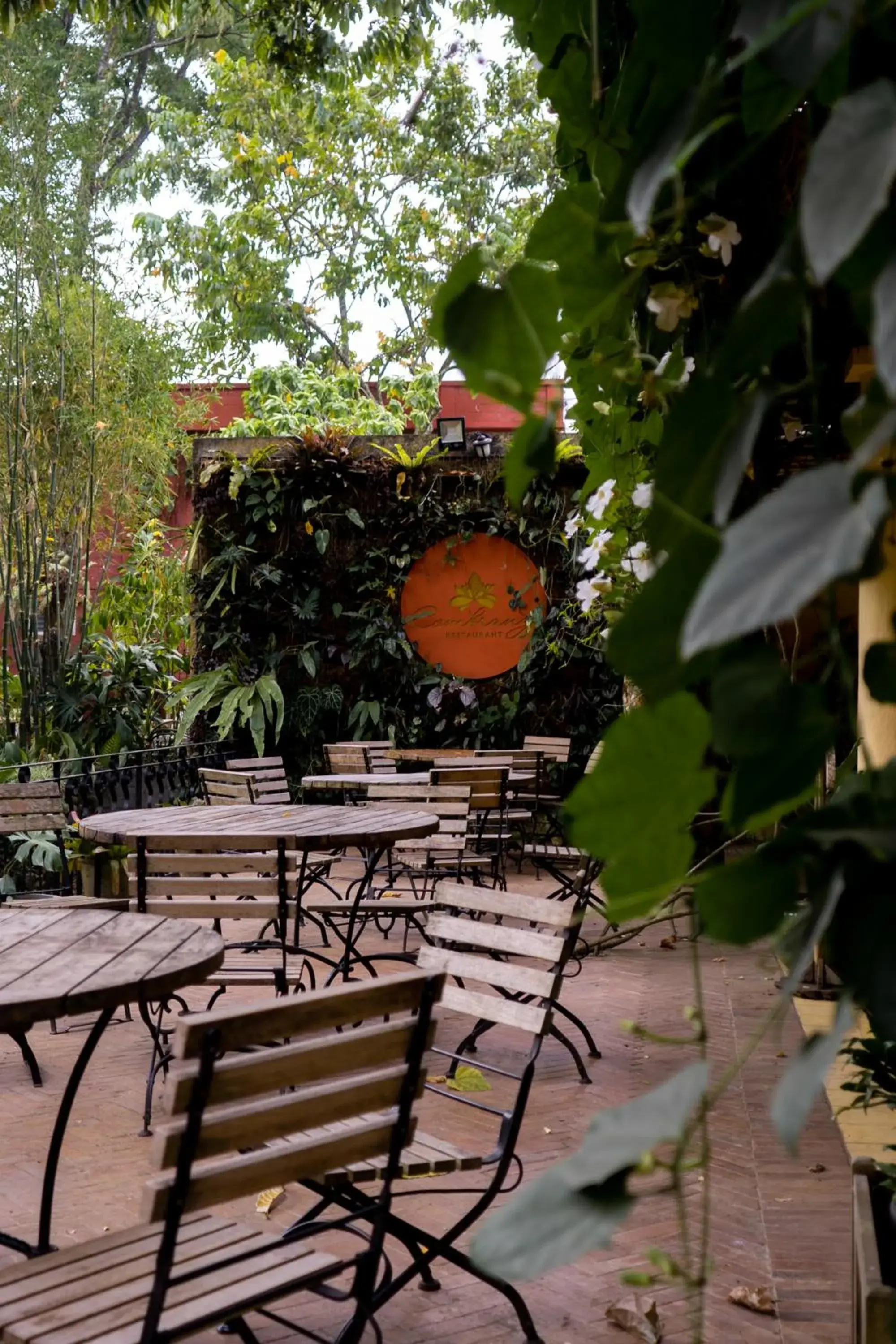 Restaurant/places to eat in Kayu Arum Resort Restaurant/places to eat in Kayu Arum Resort