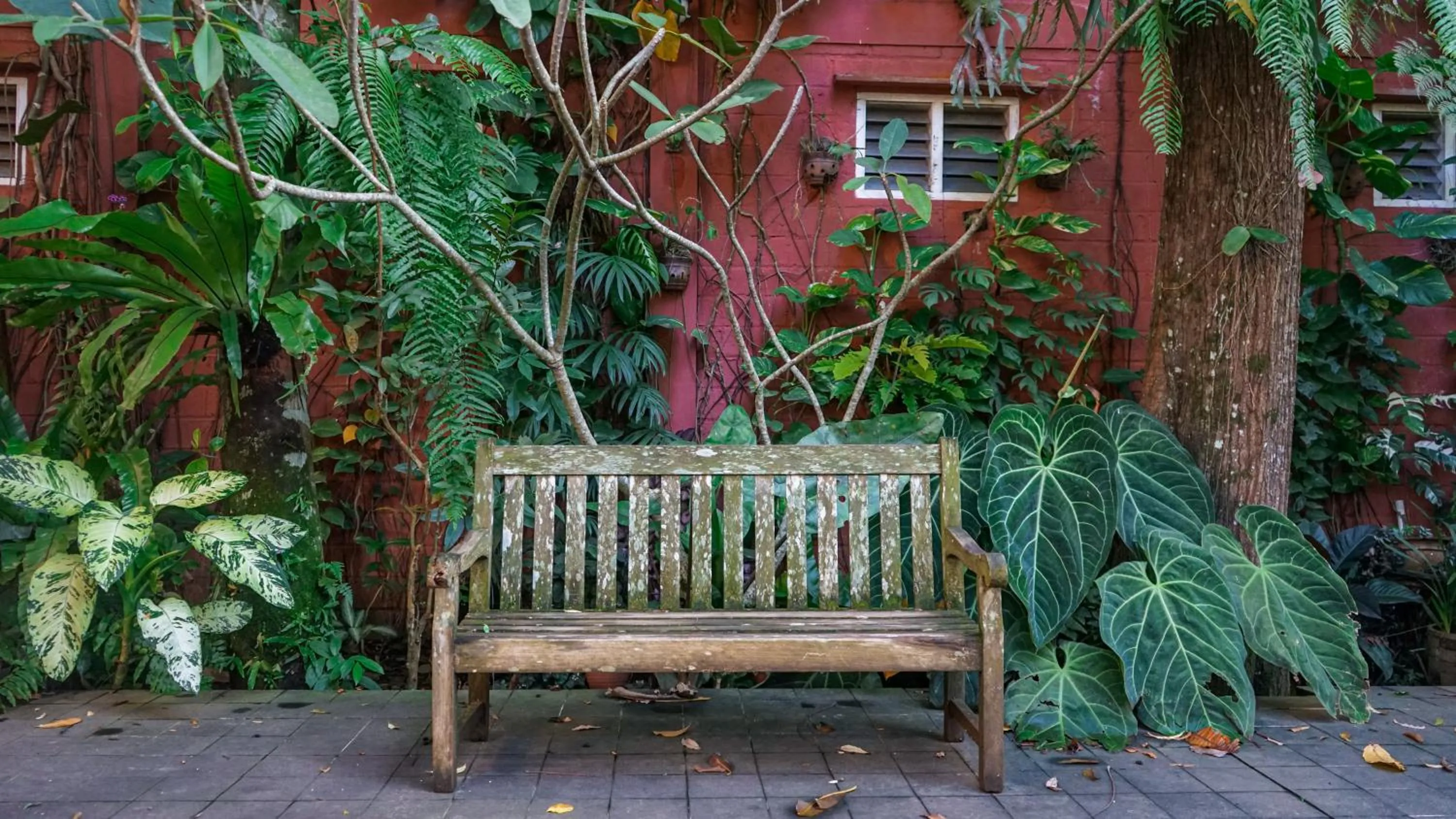 Garden in Kayu Arum Resort