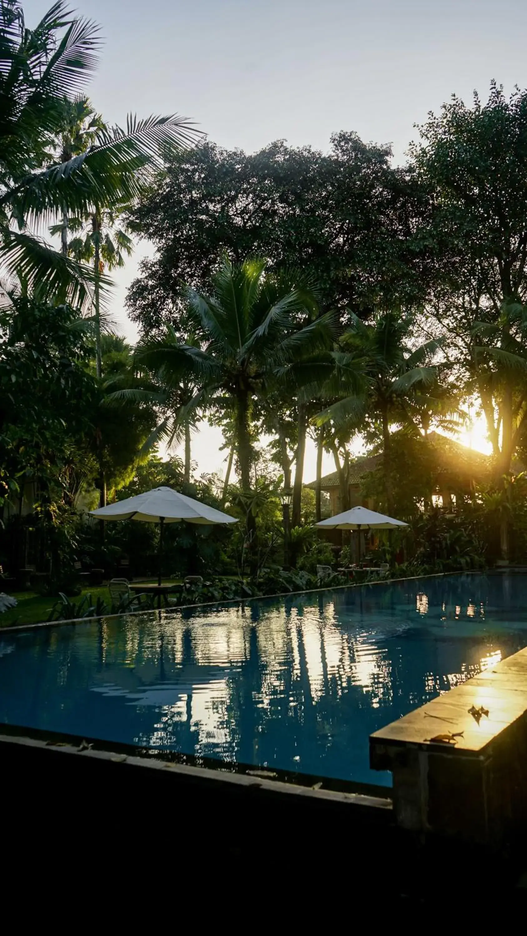 Swimming pool in Kayu Arum Resort Swimming pool in Kayu Arum Resort