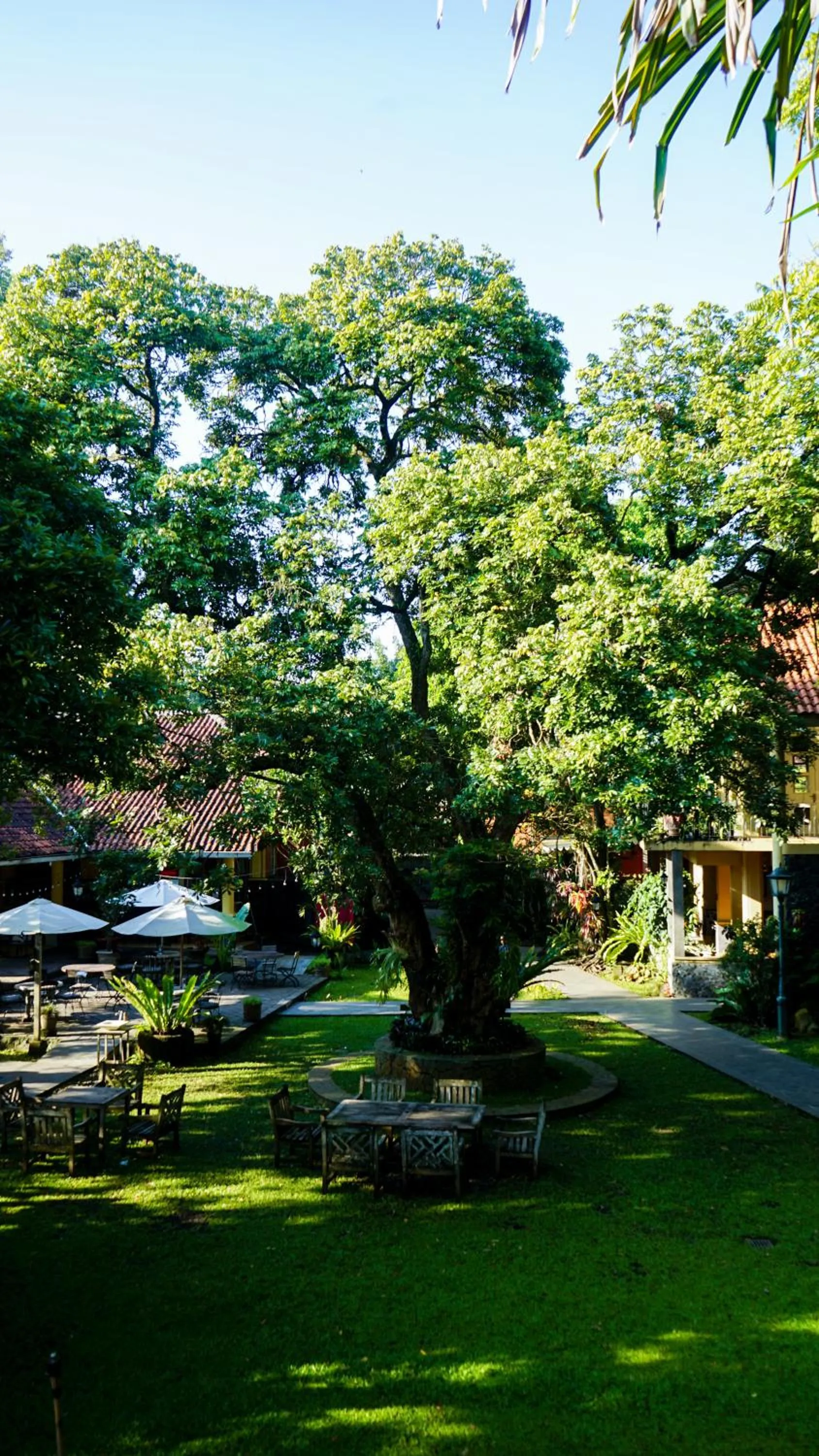 Garden in Kayu Arum Resort
