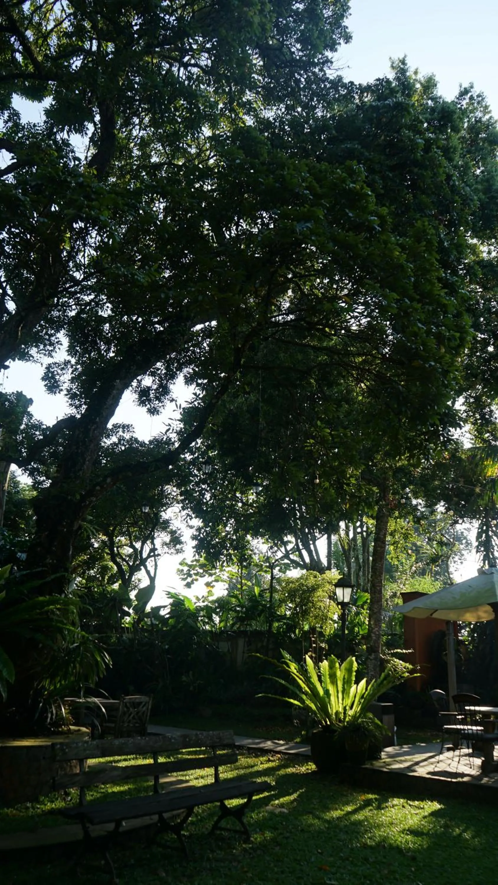 Garden in Kayu Arum Resort