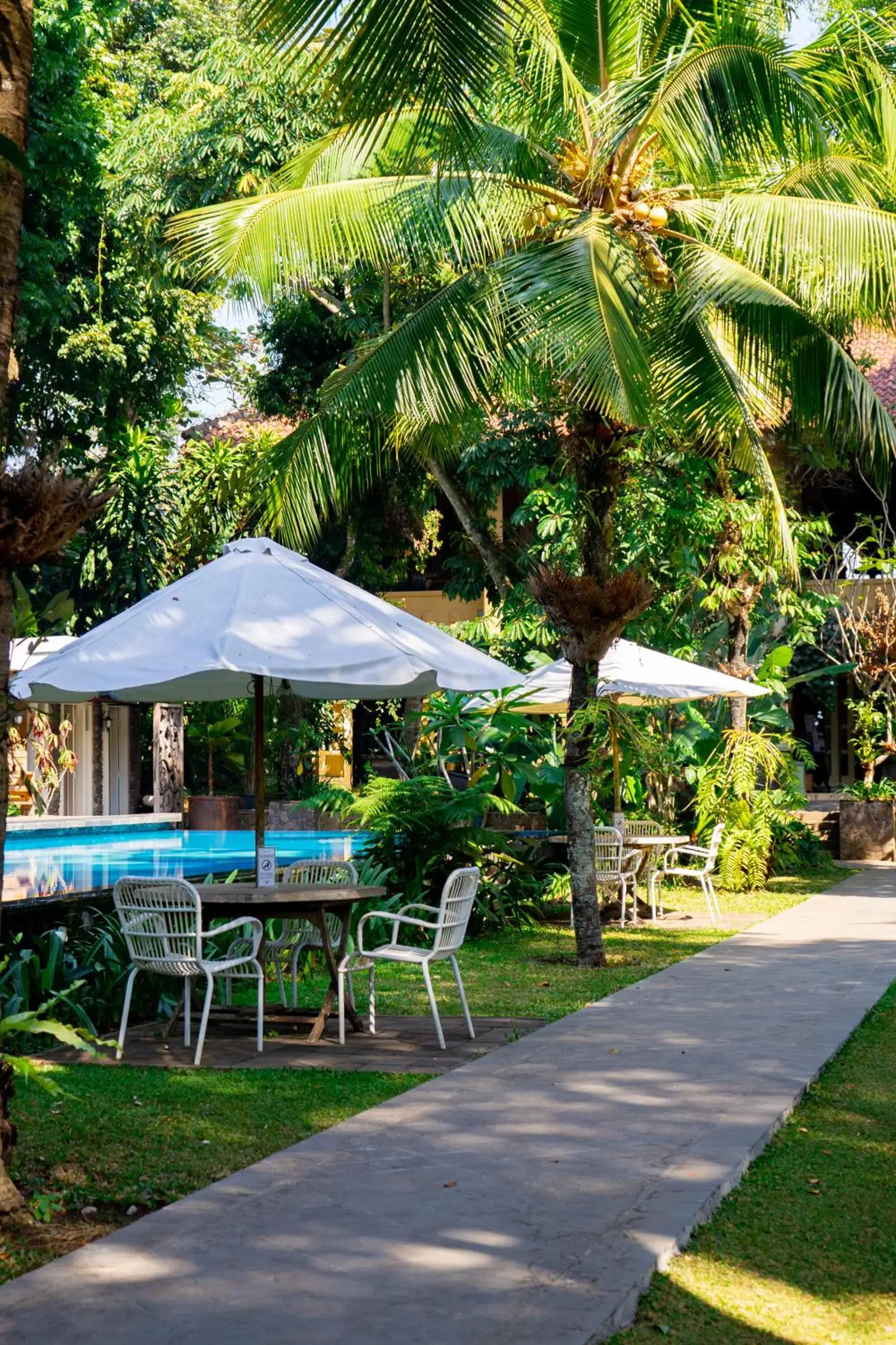 Swimming pool in Kayu Arum Resort Swimming pool in Kayu Arum Resort
