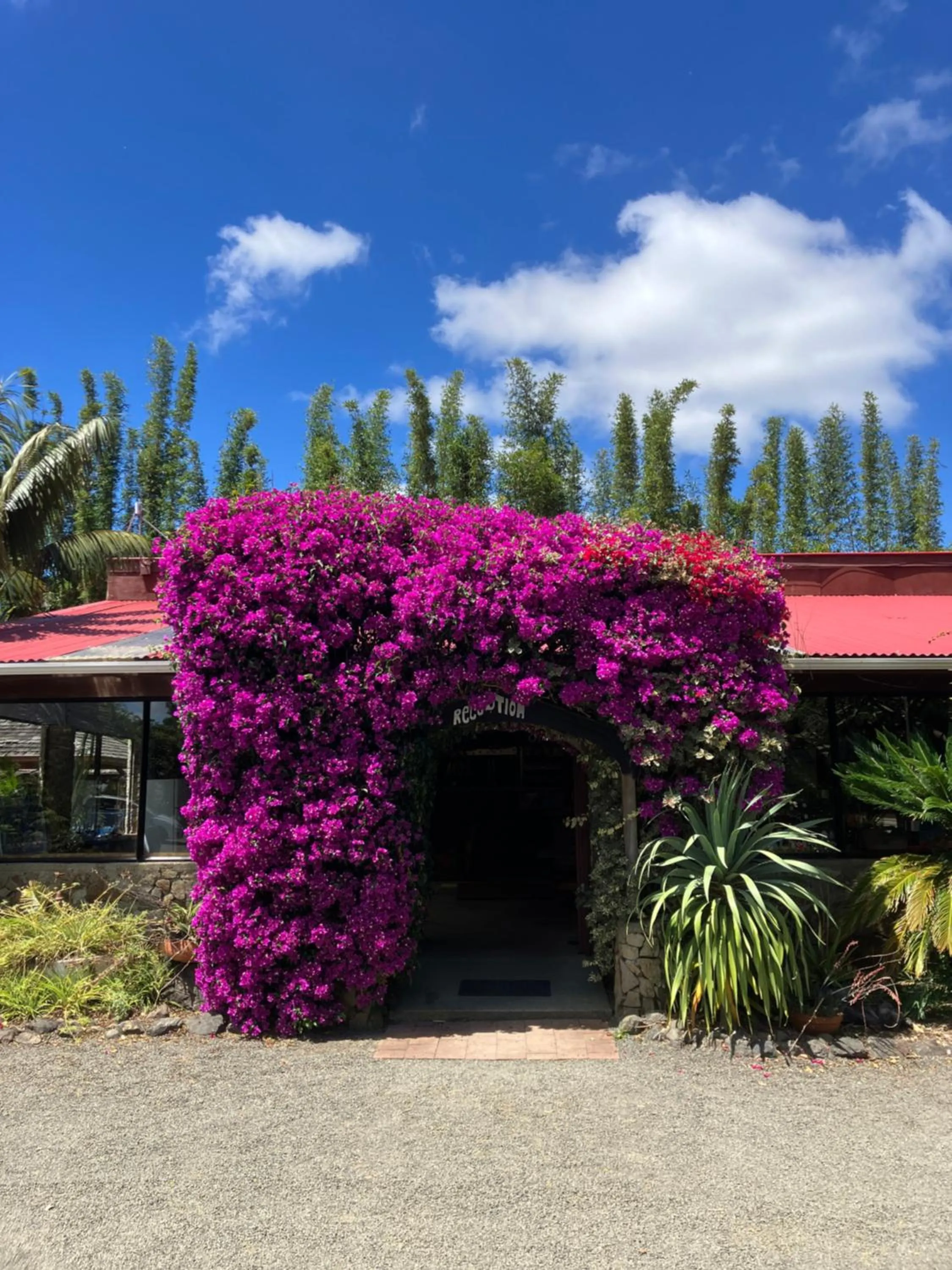 Spring in Ahipara TOP 10 Holiday Park