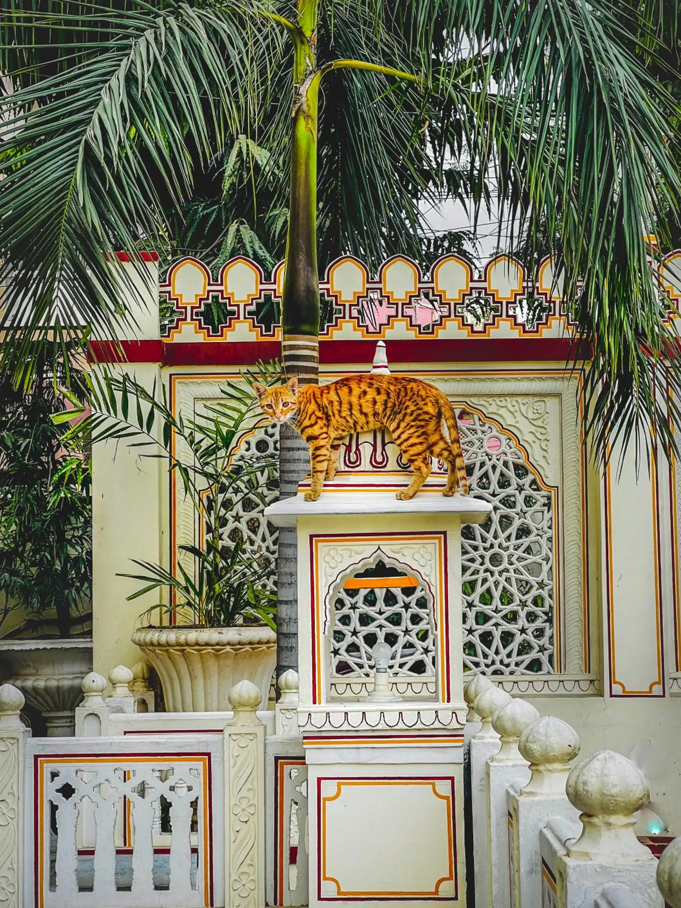 Property building in Krishna Palace - A Heritage Boutique Hotel Property building in Krishna Palace - A Heritage Boutique Hotel