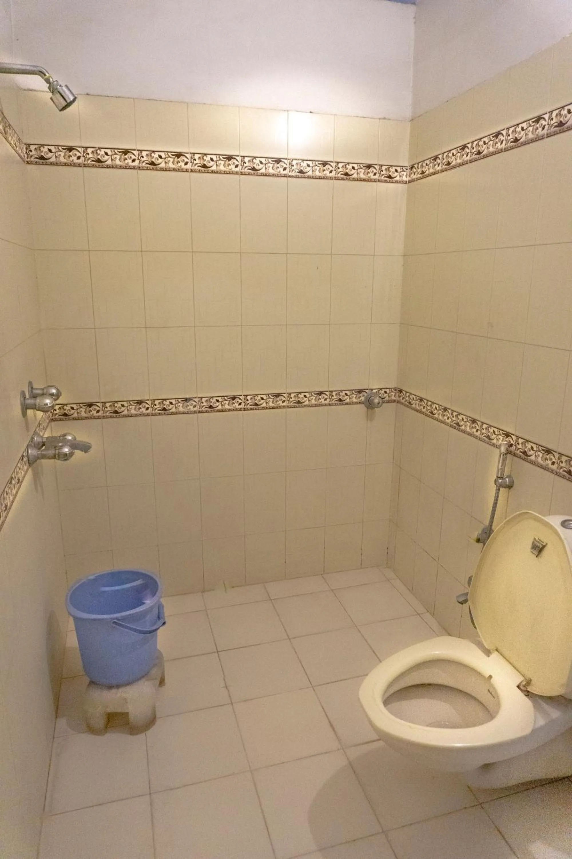 Shower in Krishna Palace - A Heritage Boutique Hotel